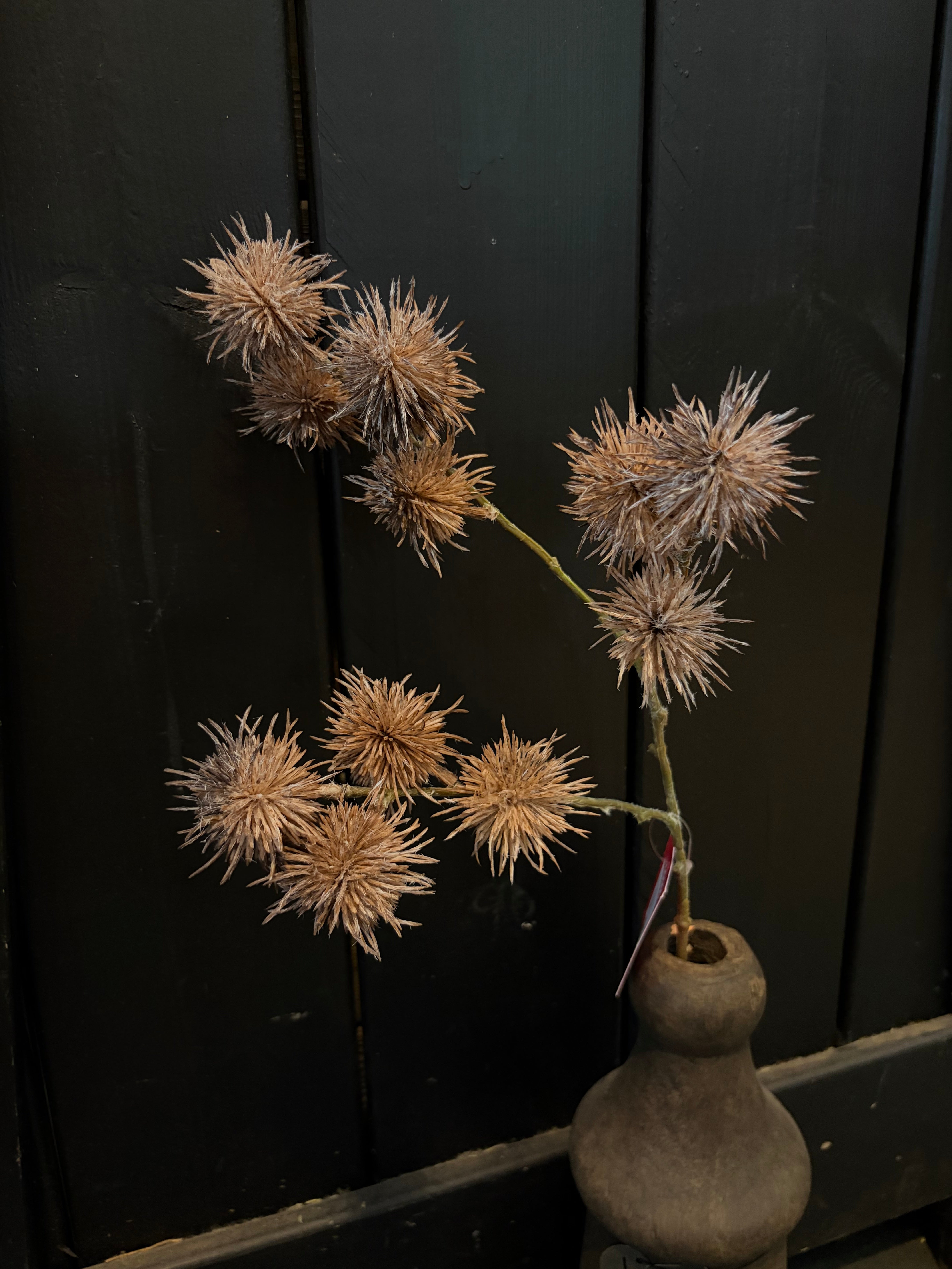 Spiky balls orange en Brown