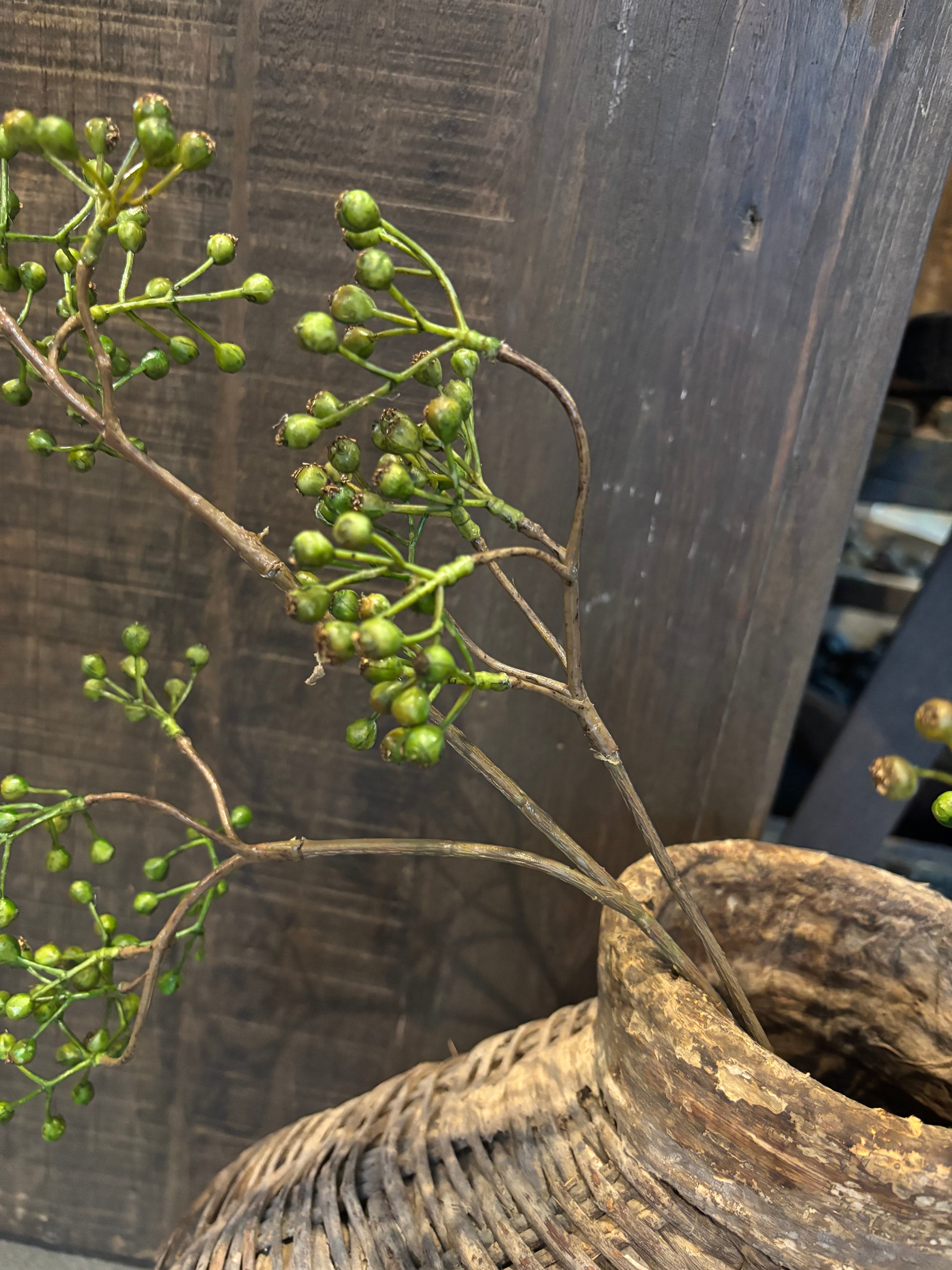 Groene rozenbottel 80cm