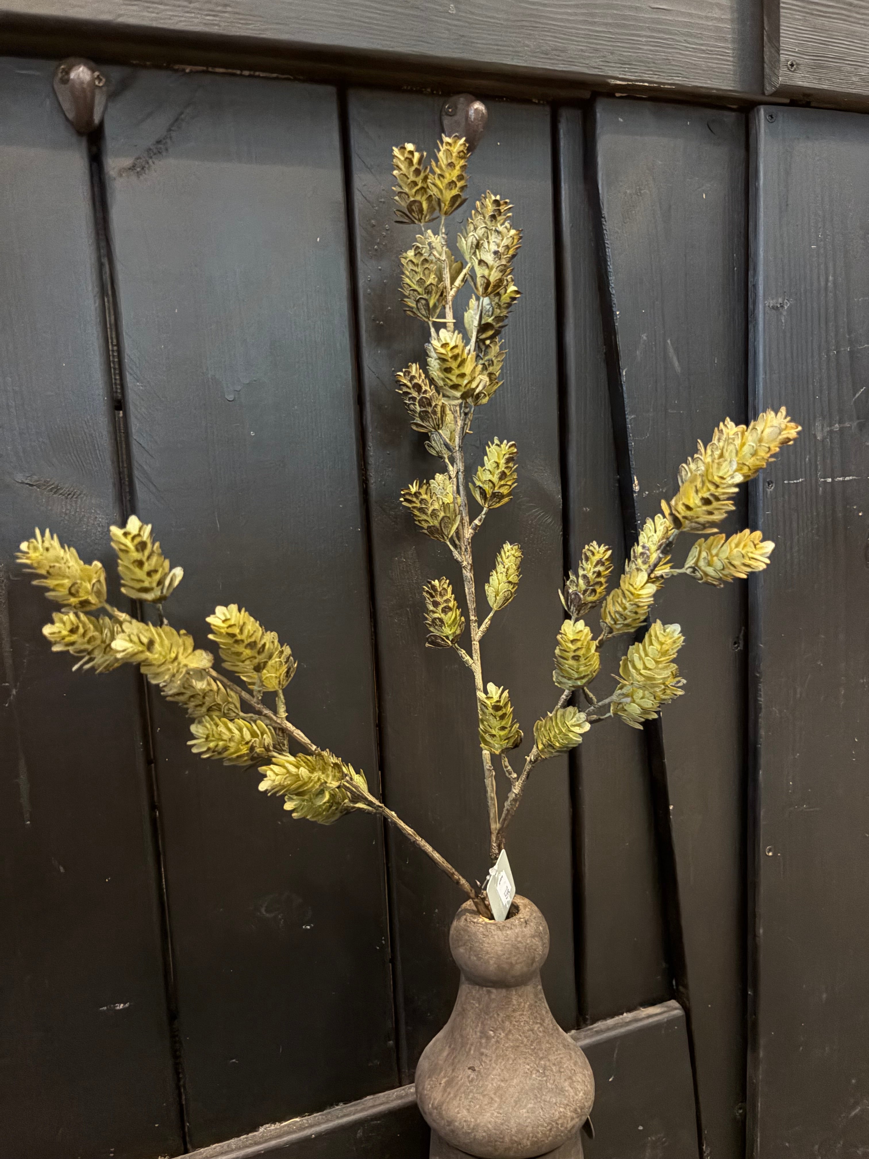 Humulus twig 2 kleuren