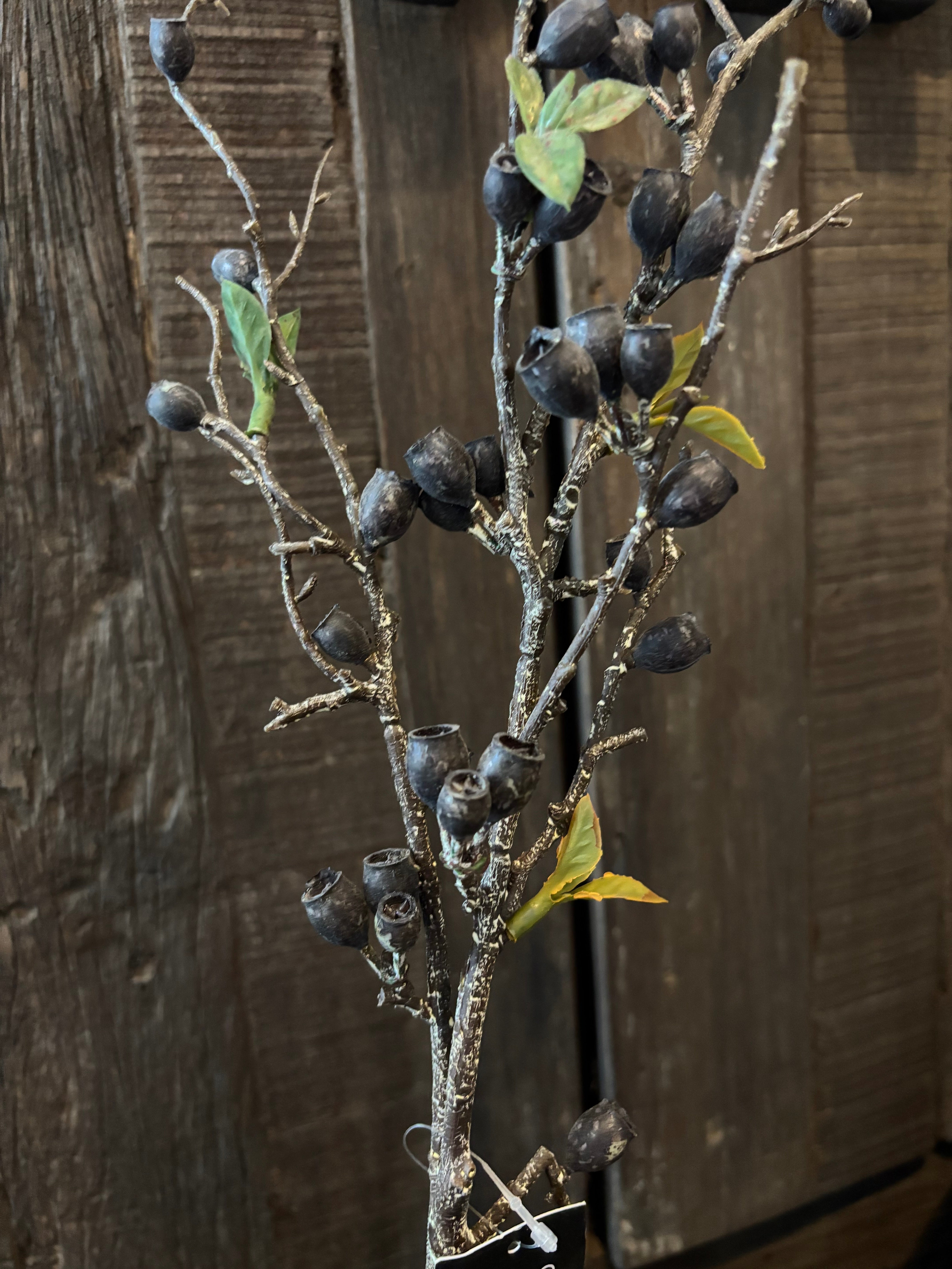 Kunsttak eucalyptus zwart