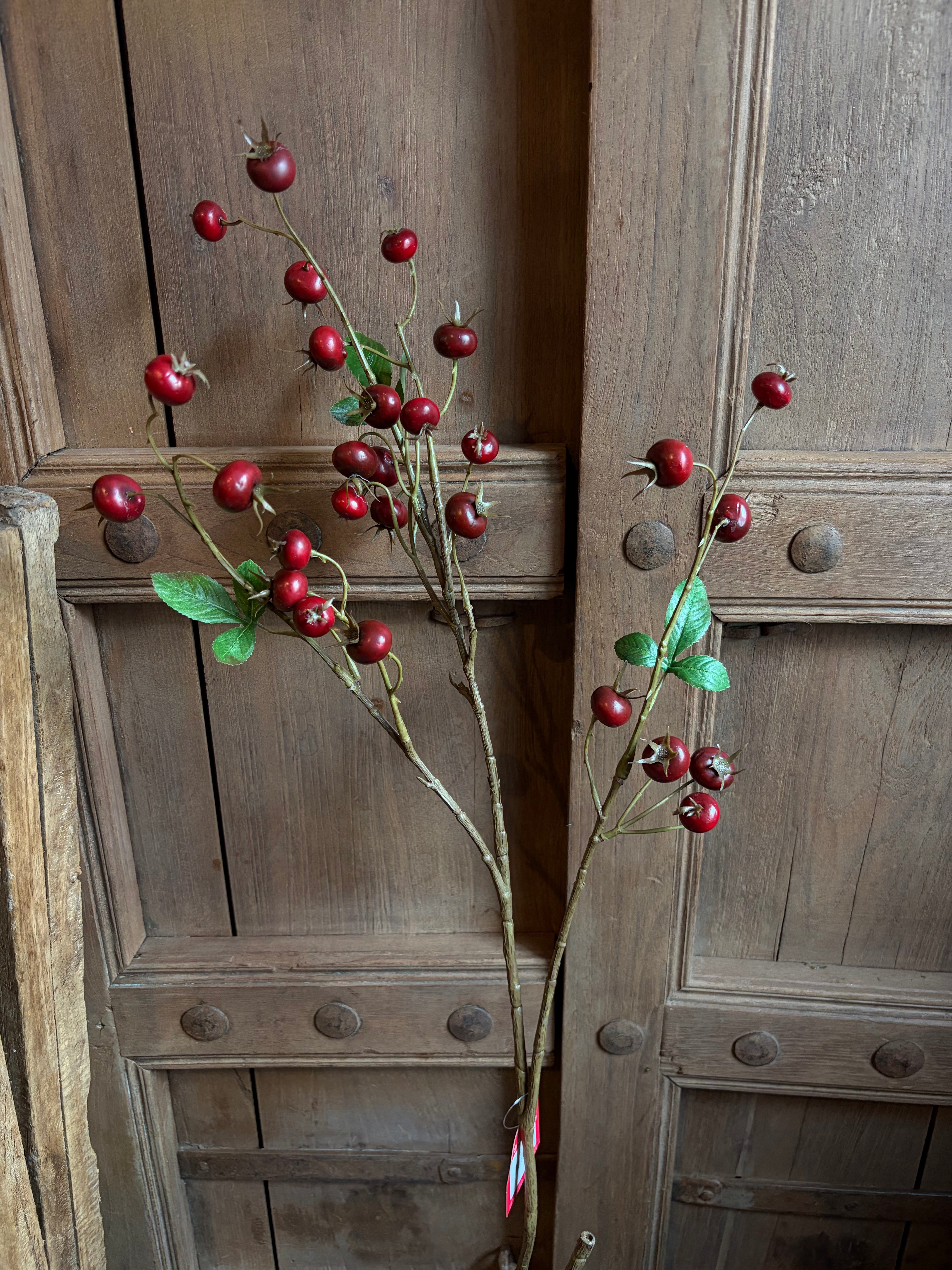 Rozenbottel rood