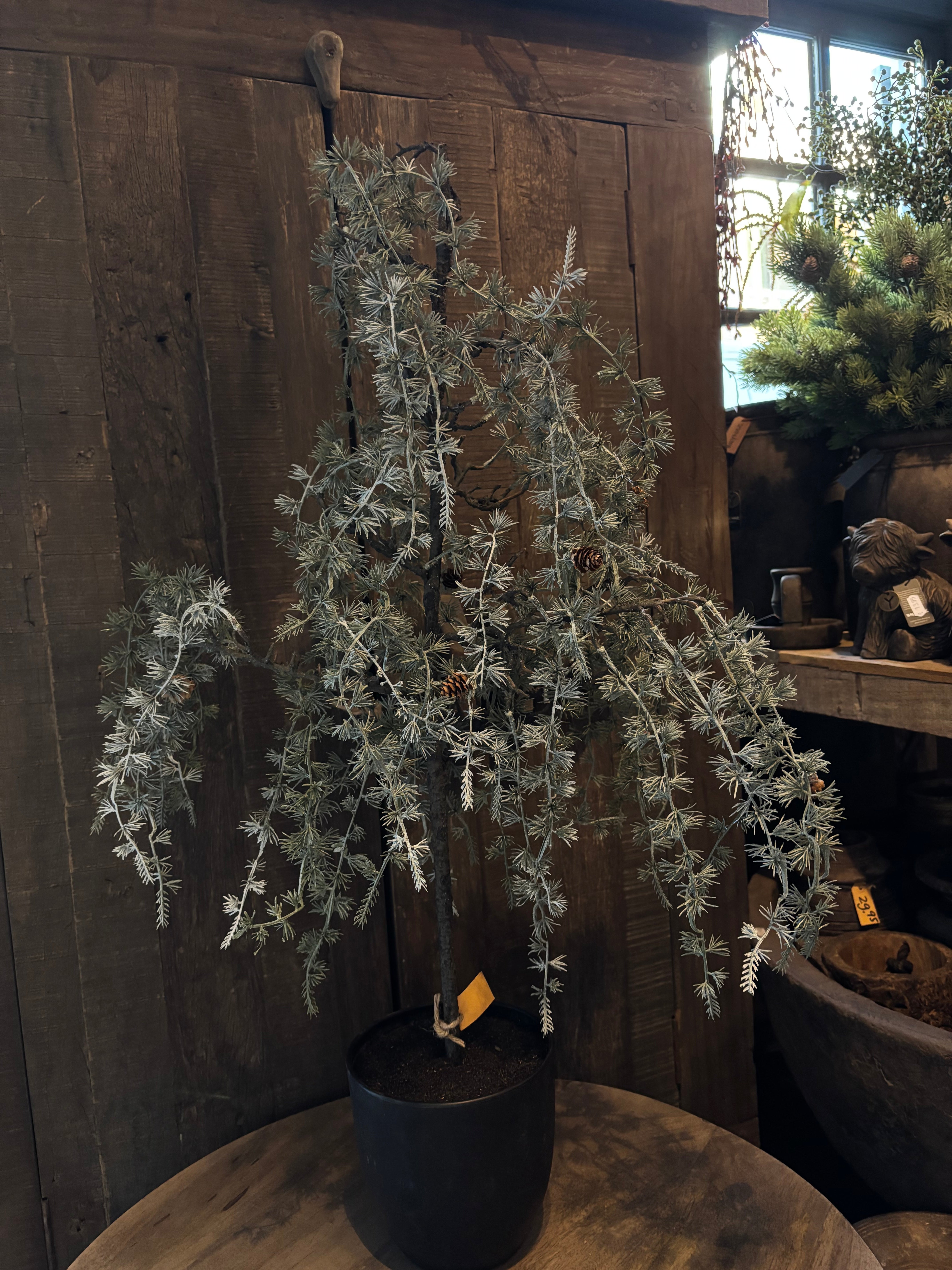 Sober boompje groot 85cm