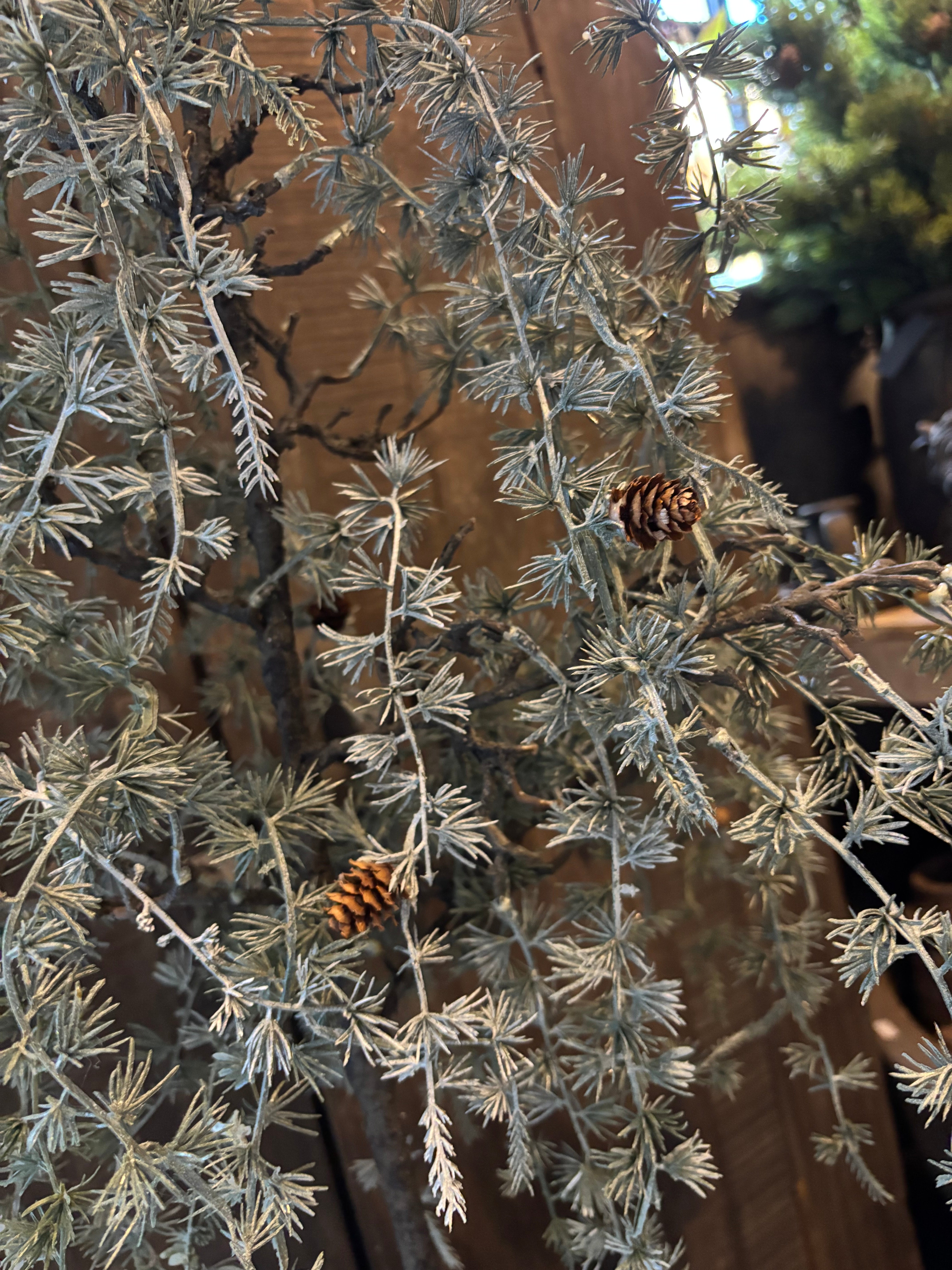 Sober boompje groot 85cm