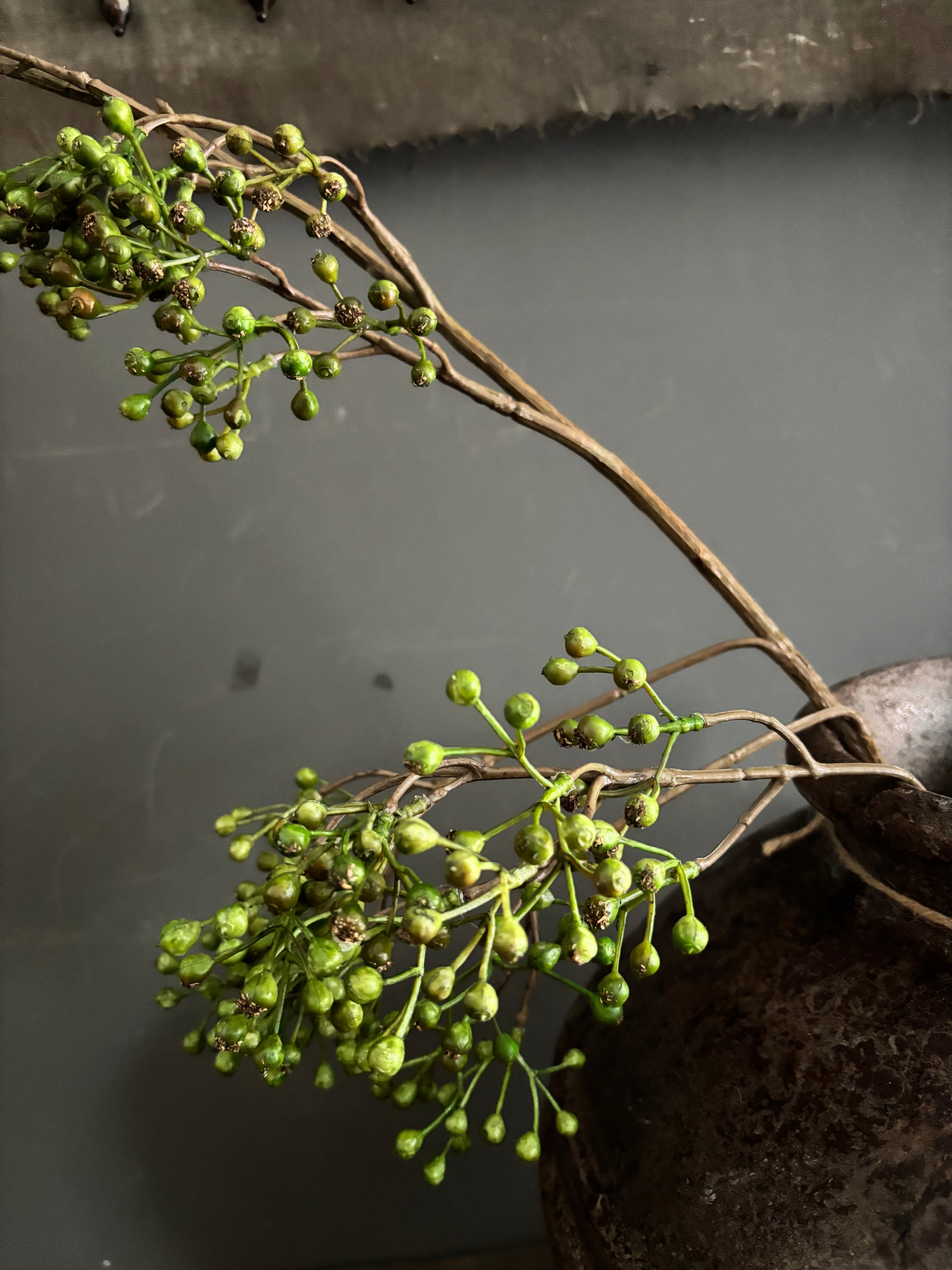 Groene rozenbottel 1.20m