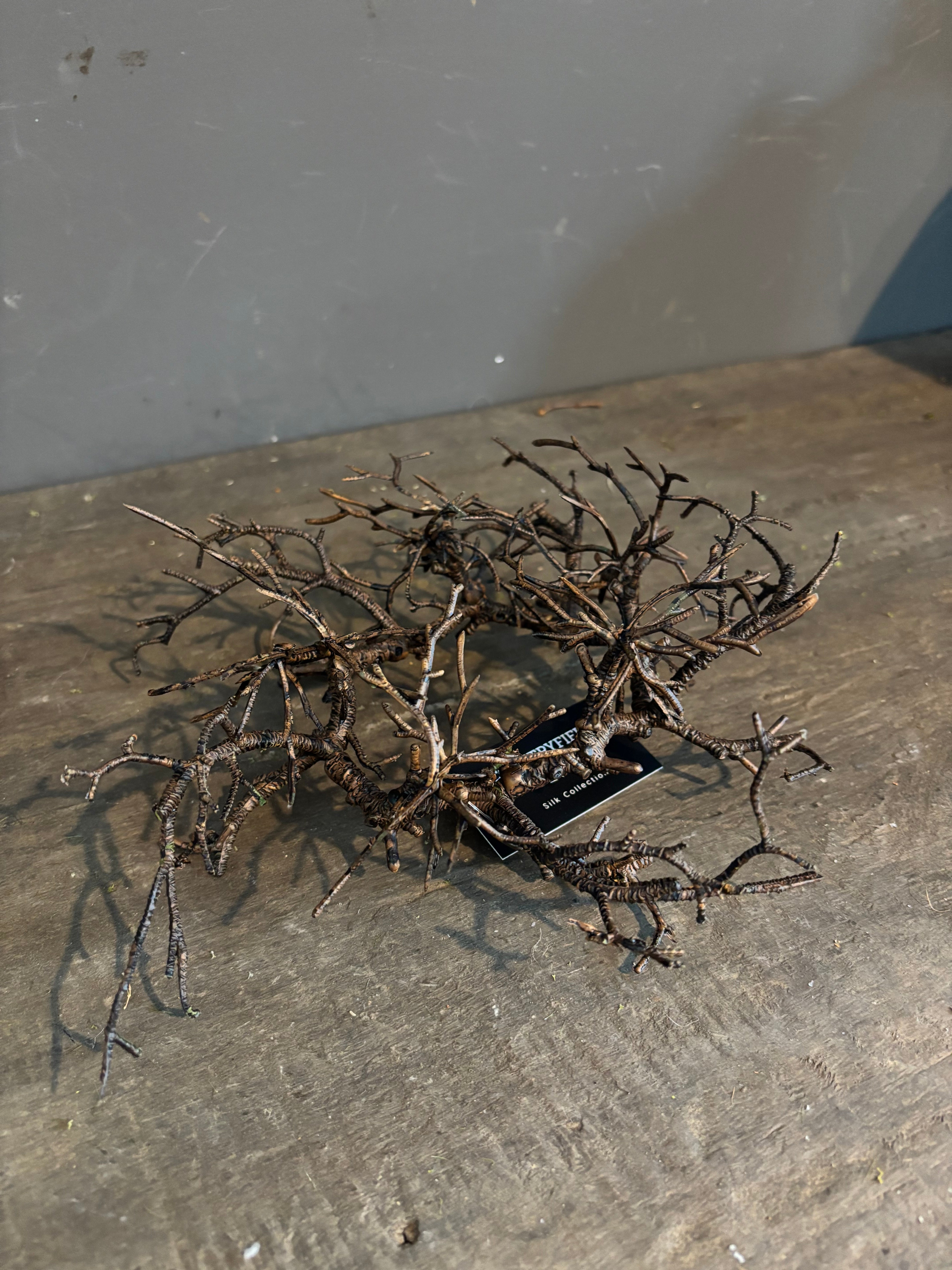 Kunst twijgkrans