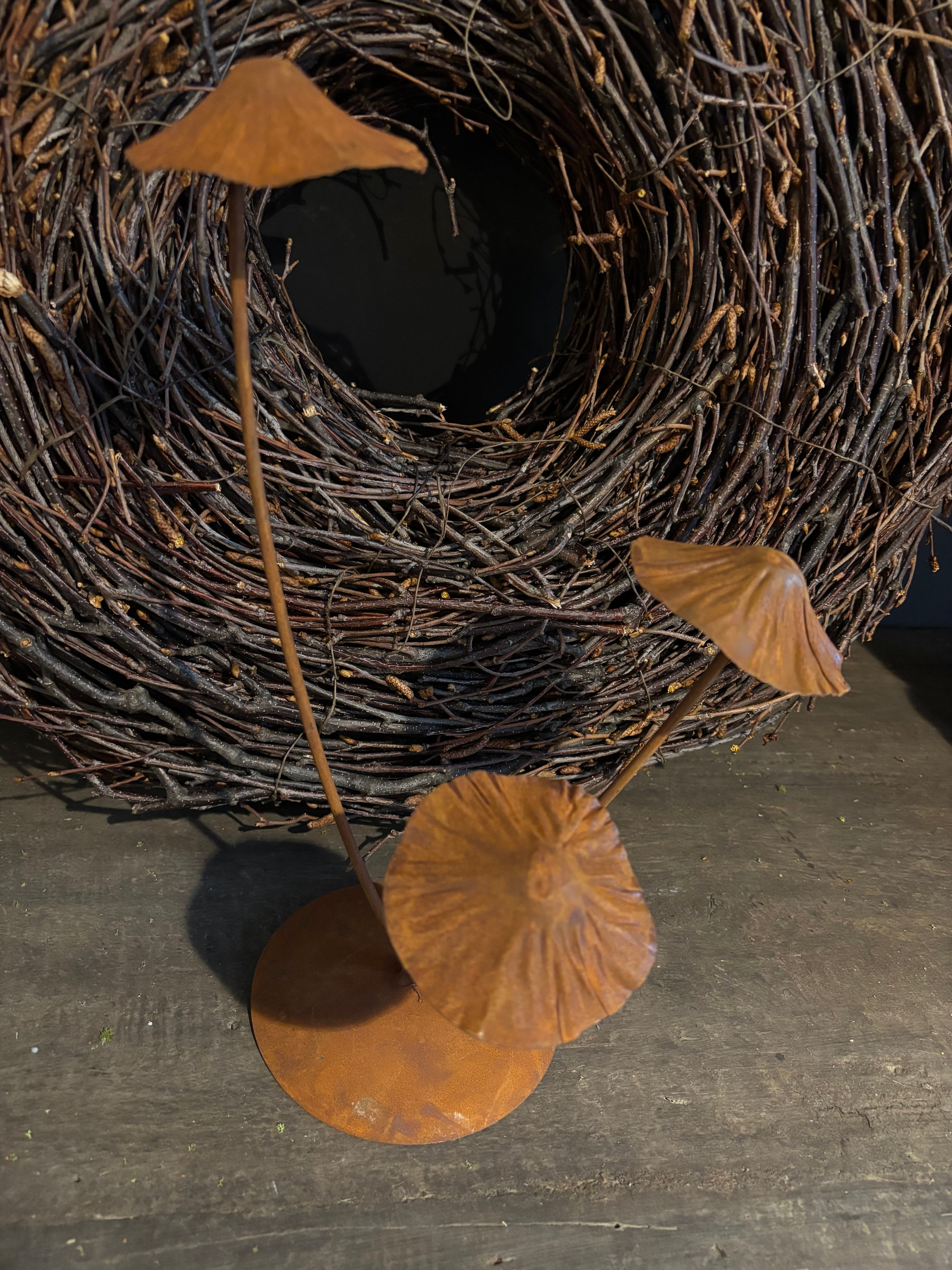 Paddenstoelen roest