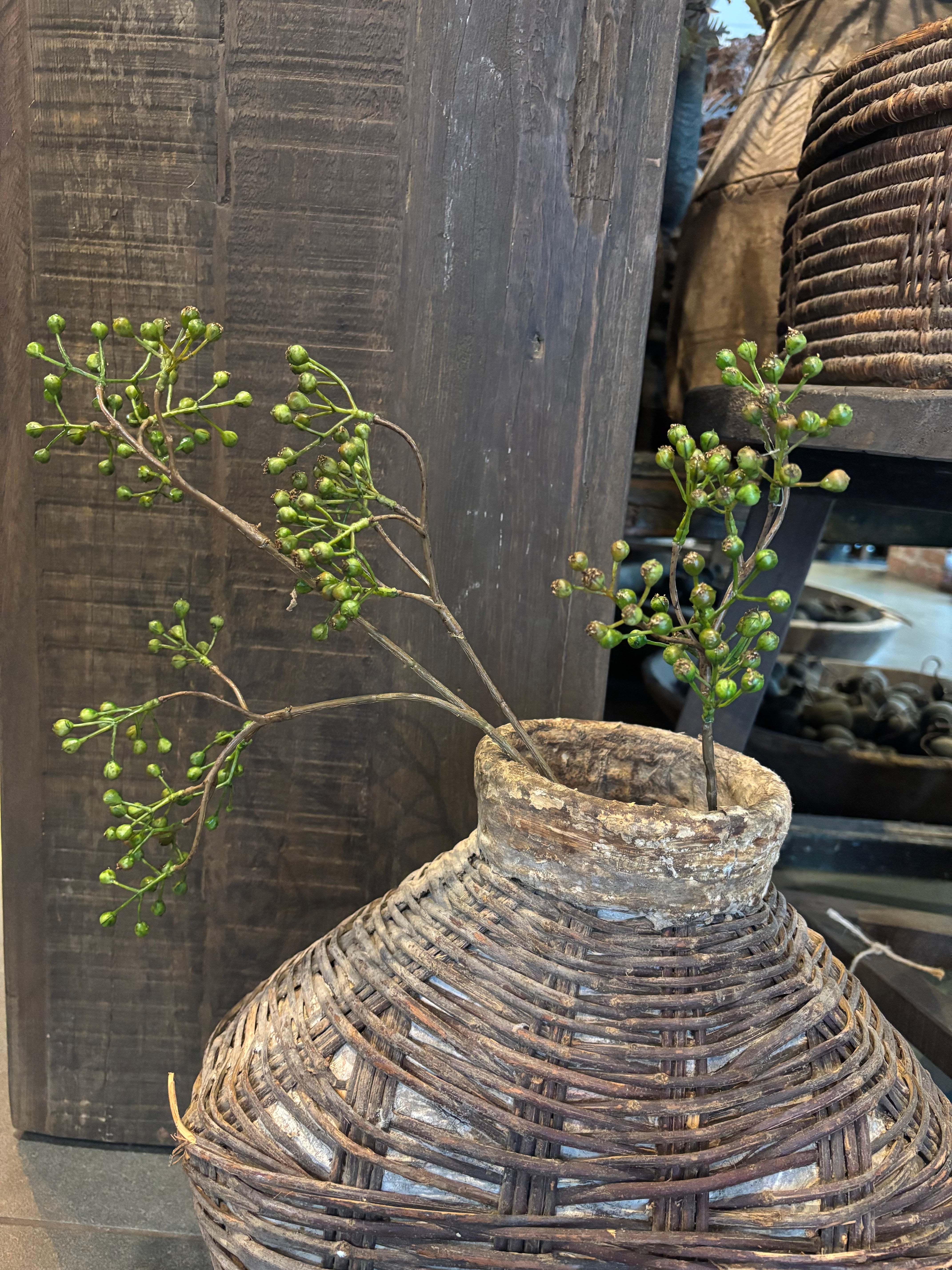 Groene rozenbottel 80cm