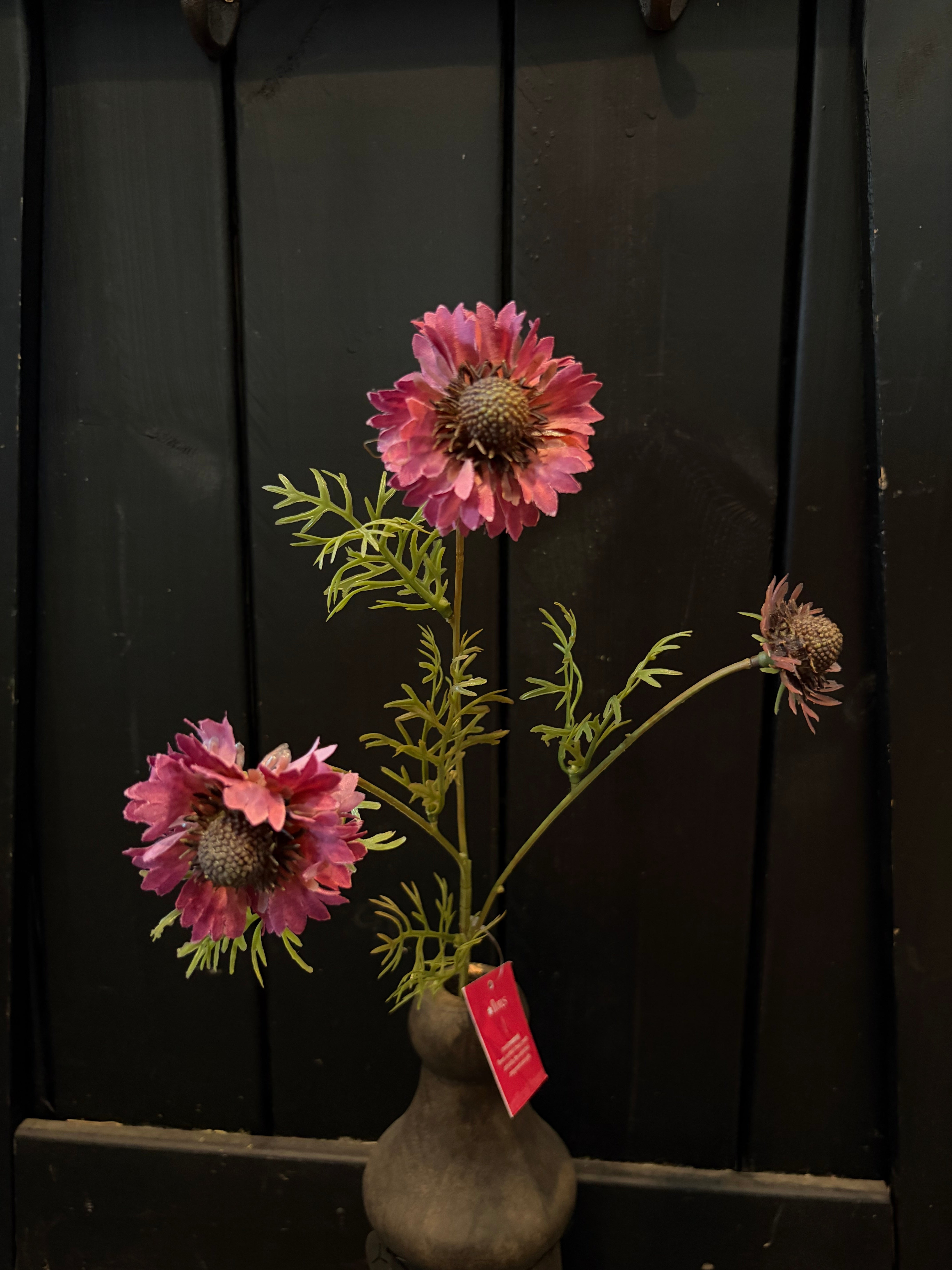Cornflower 3 kleuren
