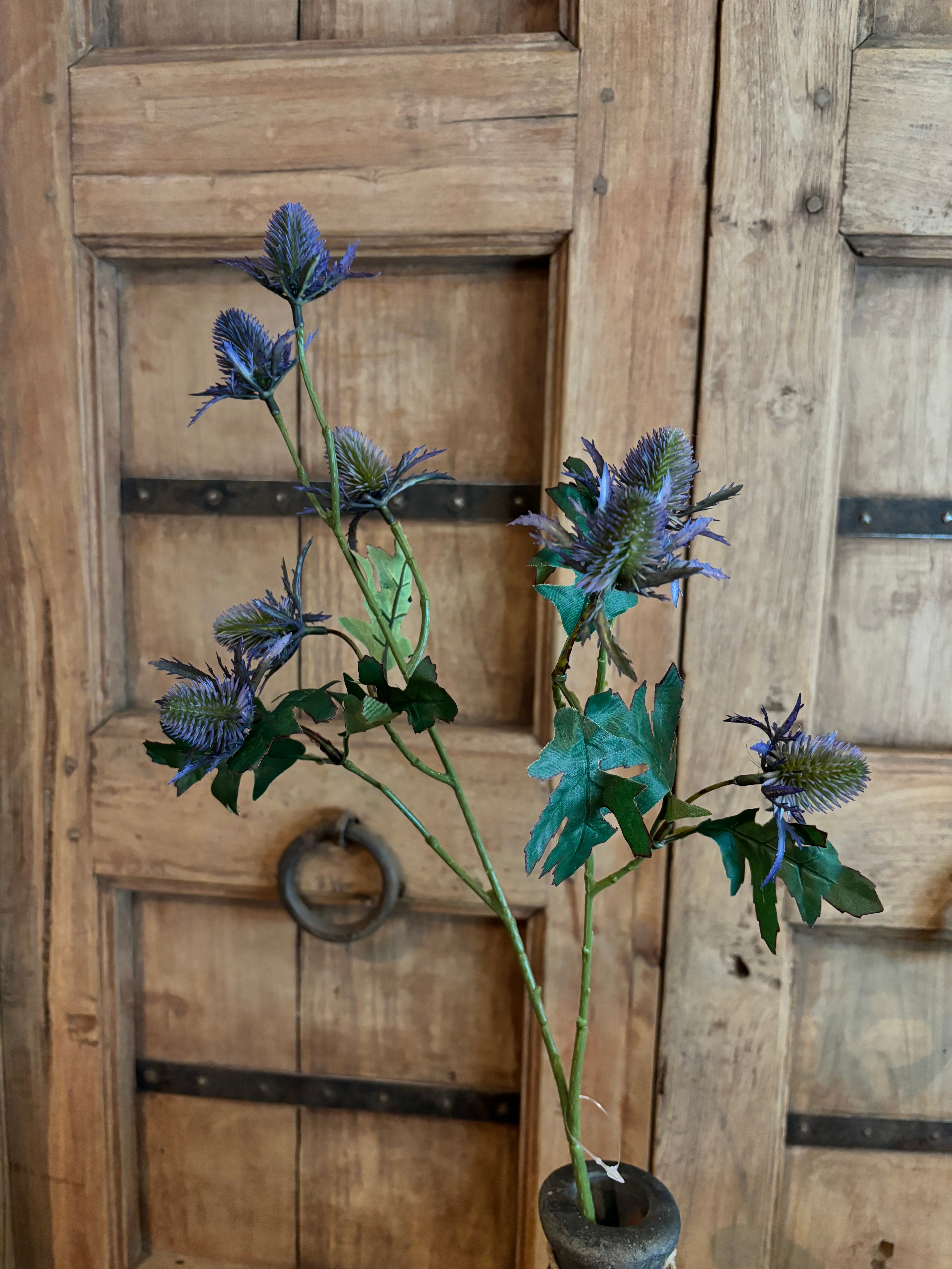 Paarse distel