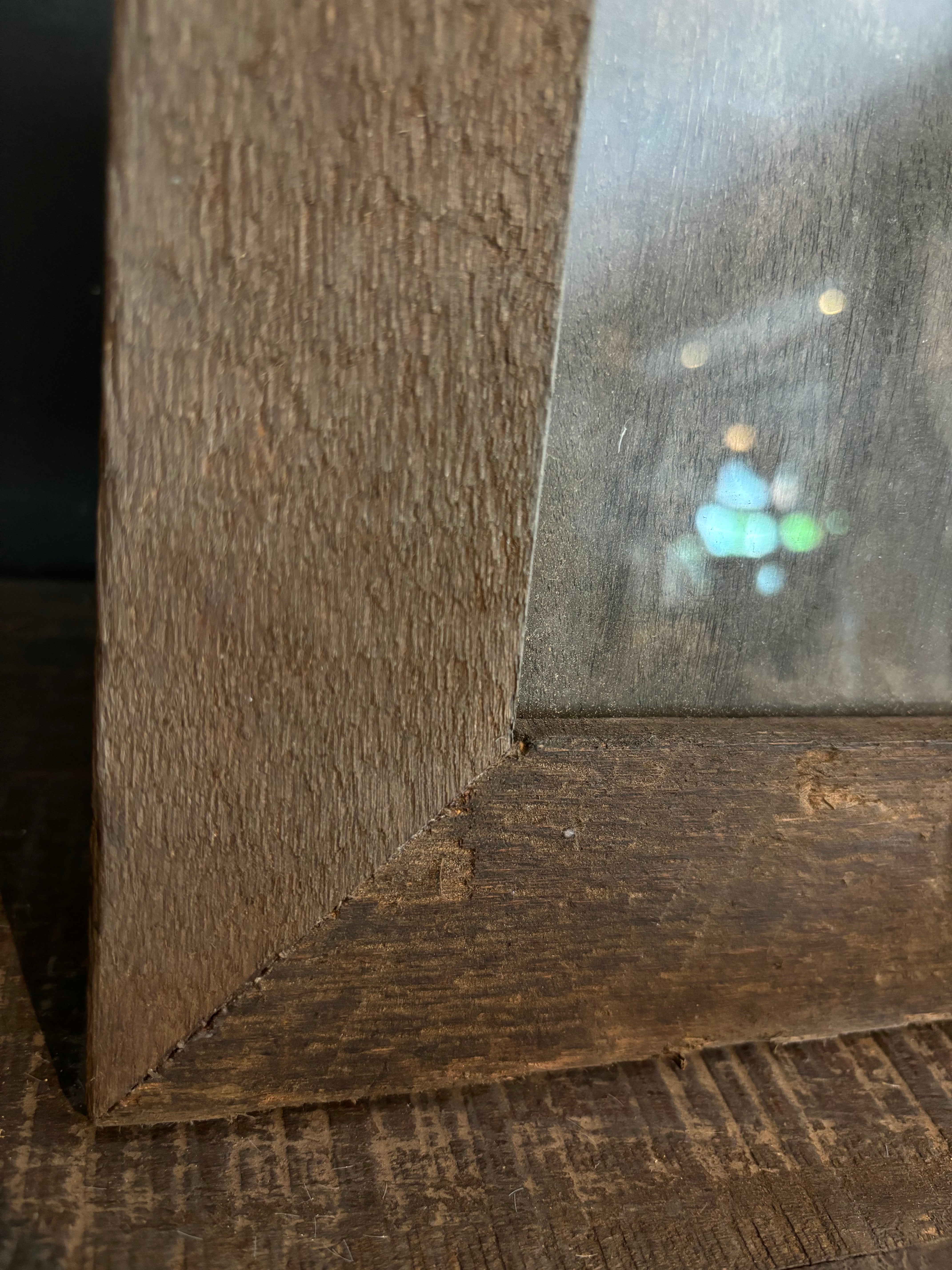 Fotolijst driftwood L