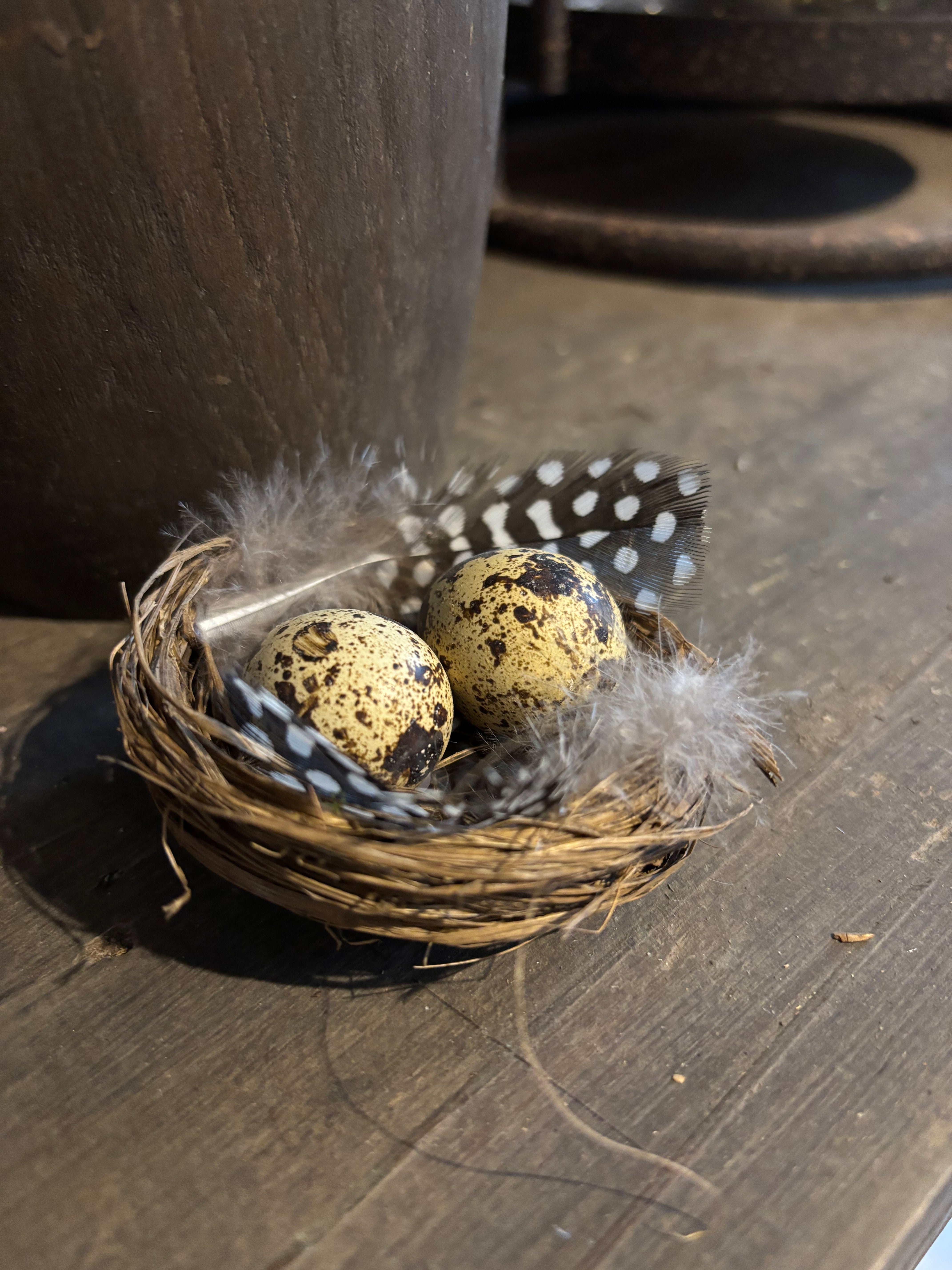 Nestje kwarteleitjes