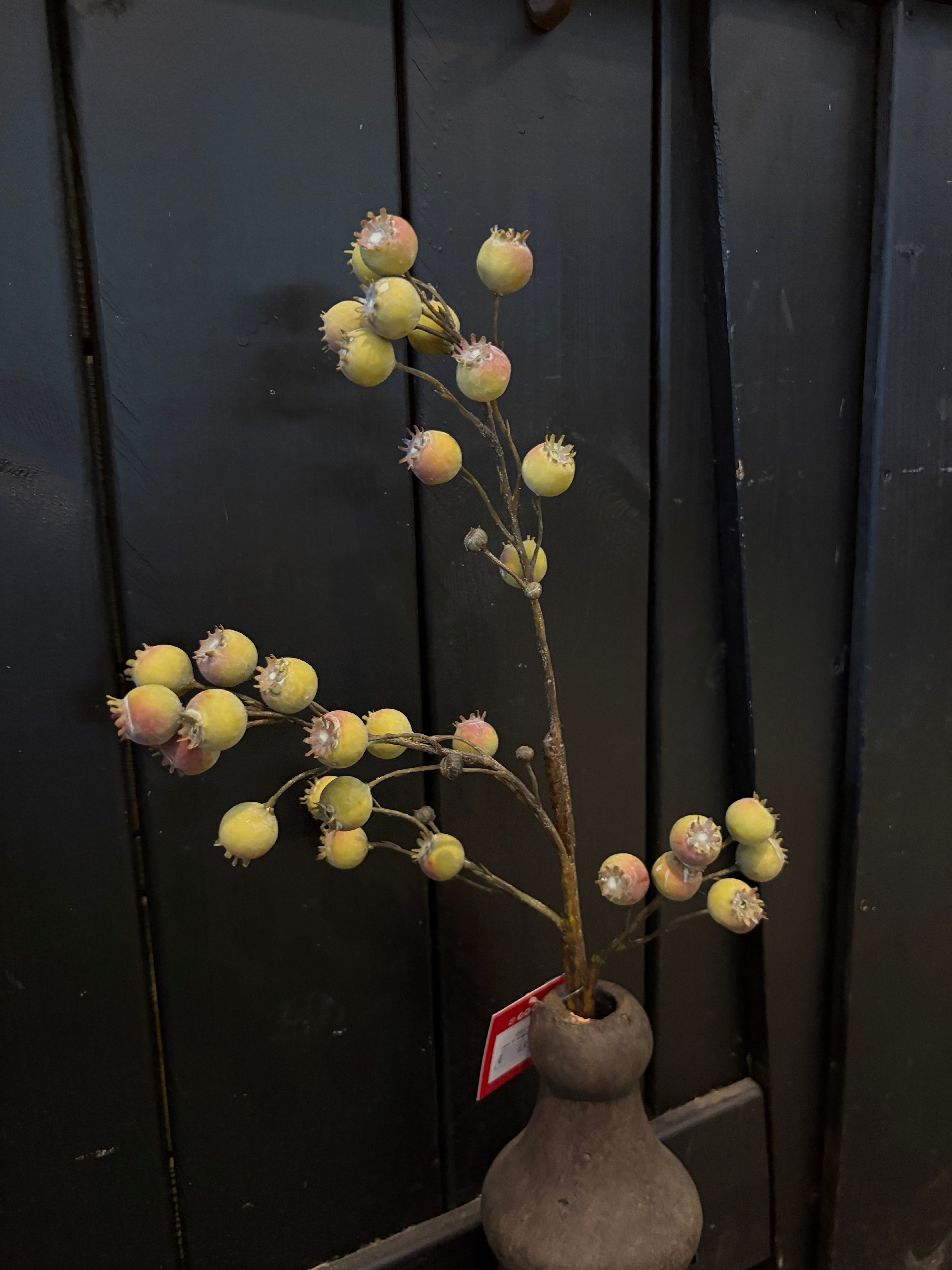 Groene appeltak