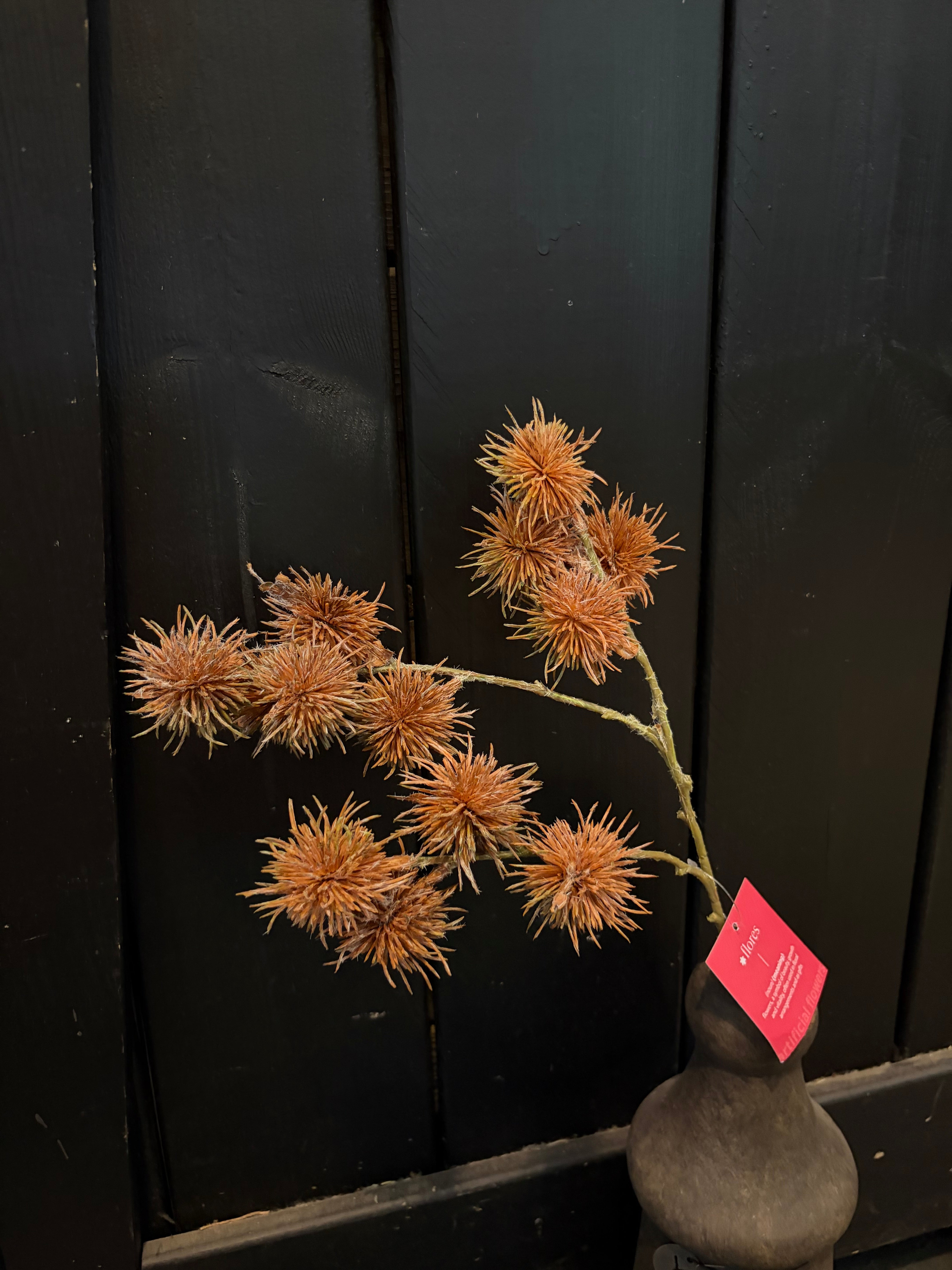 Spiky balls orange en Brown