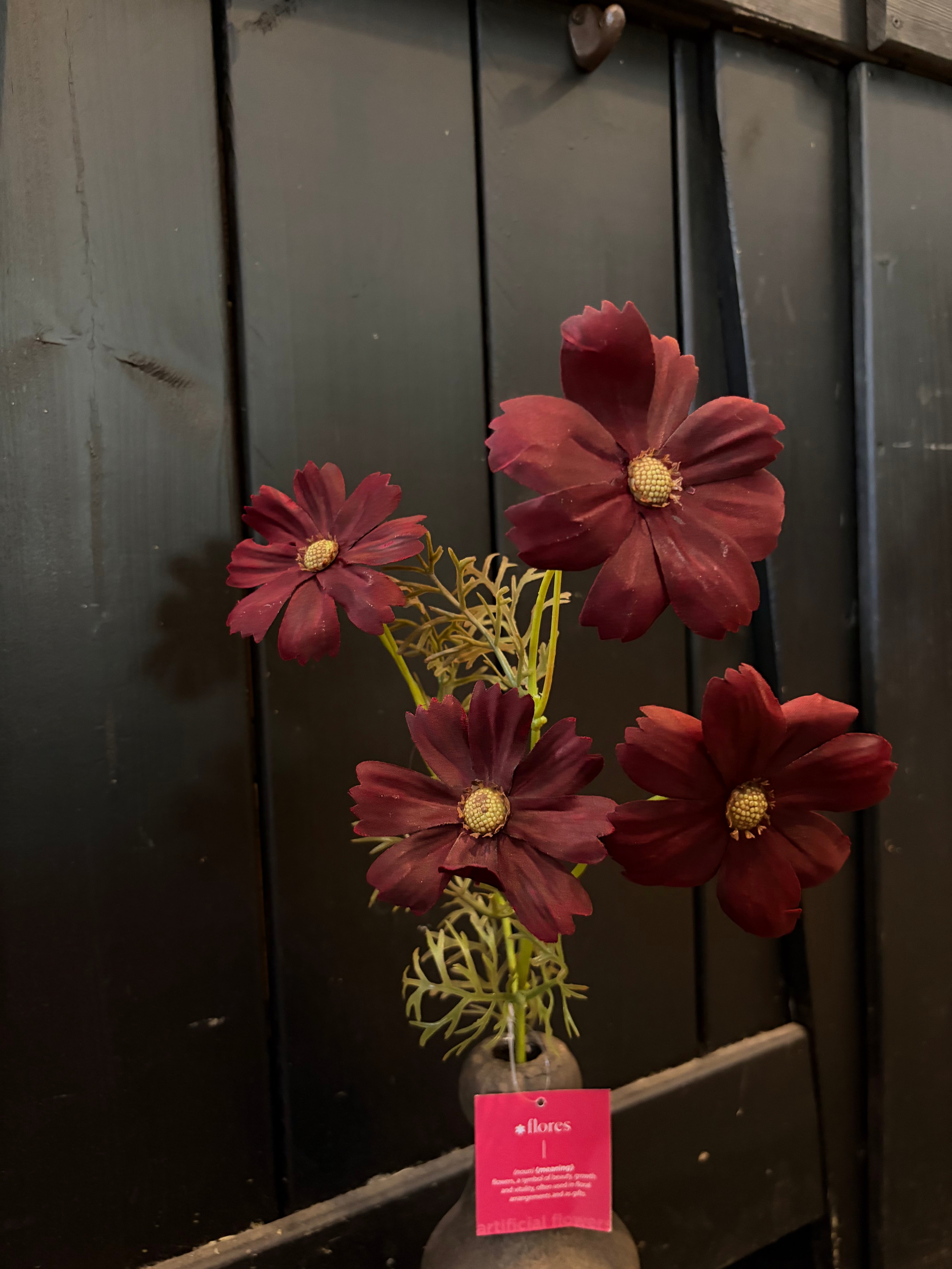 Cosmos 2 kleuren