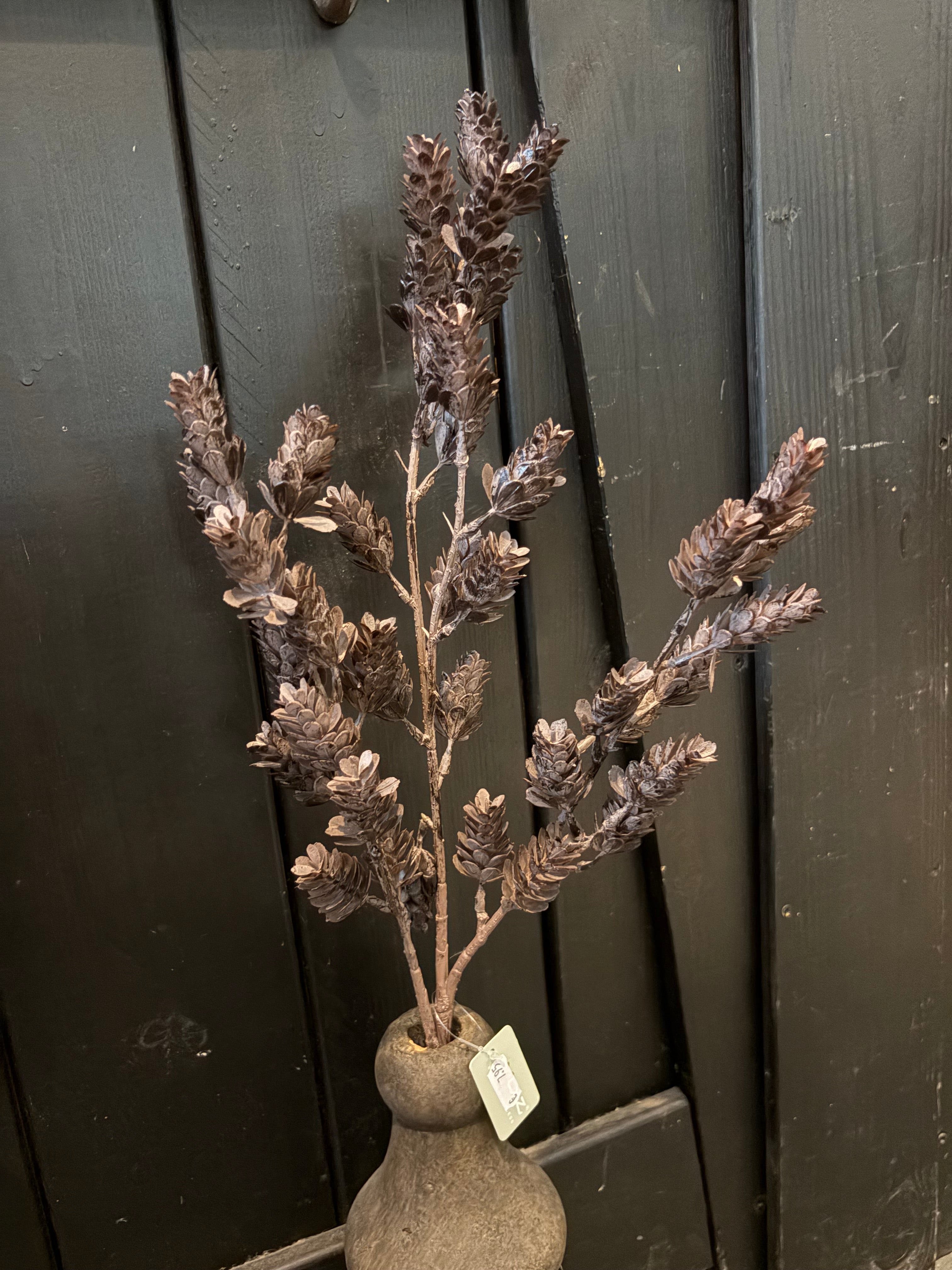 Humulus twig 2 kleuren