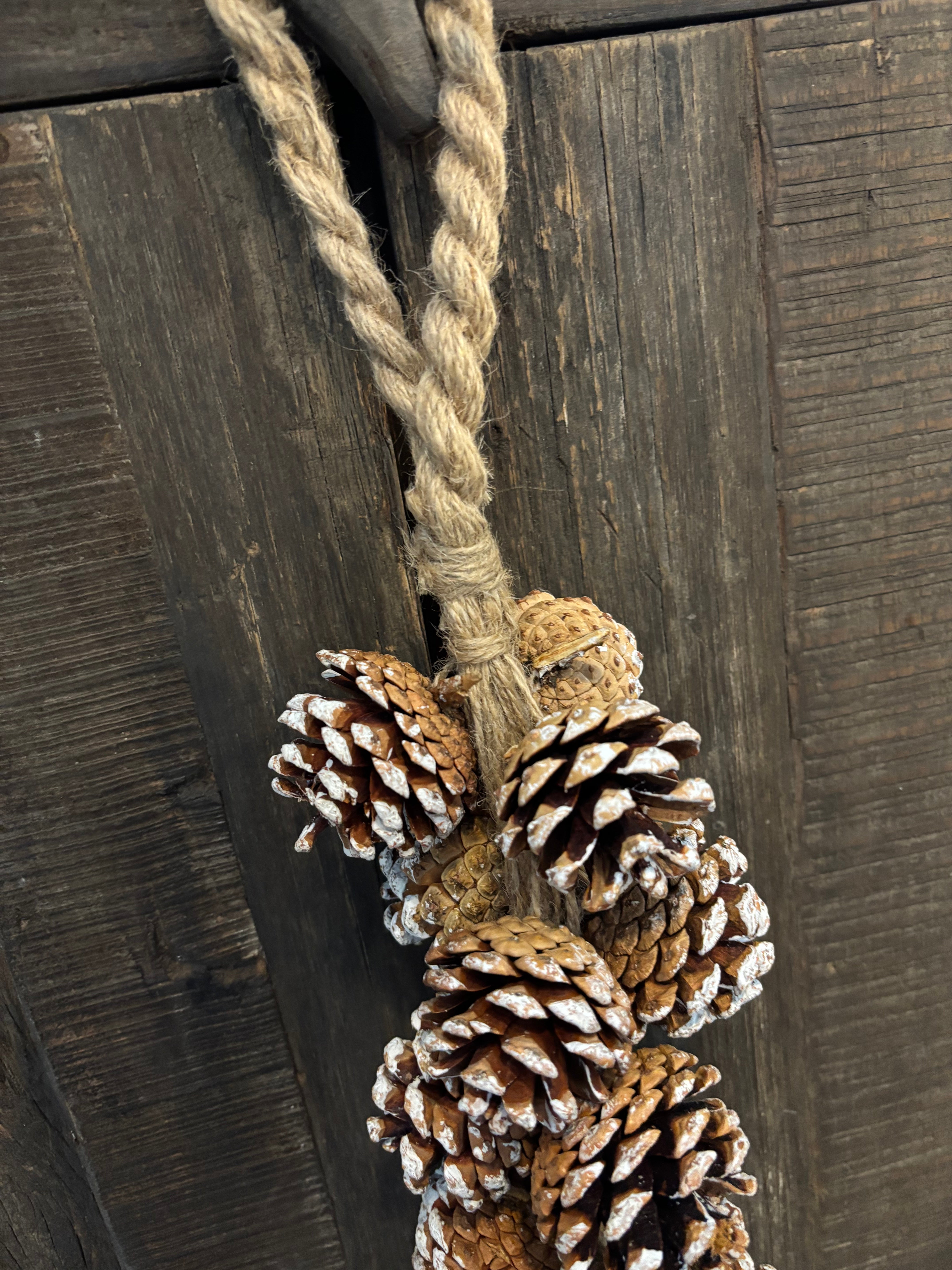 Dennenappels aan jute touw