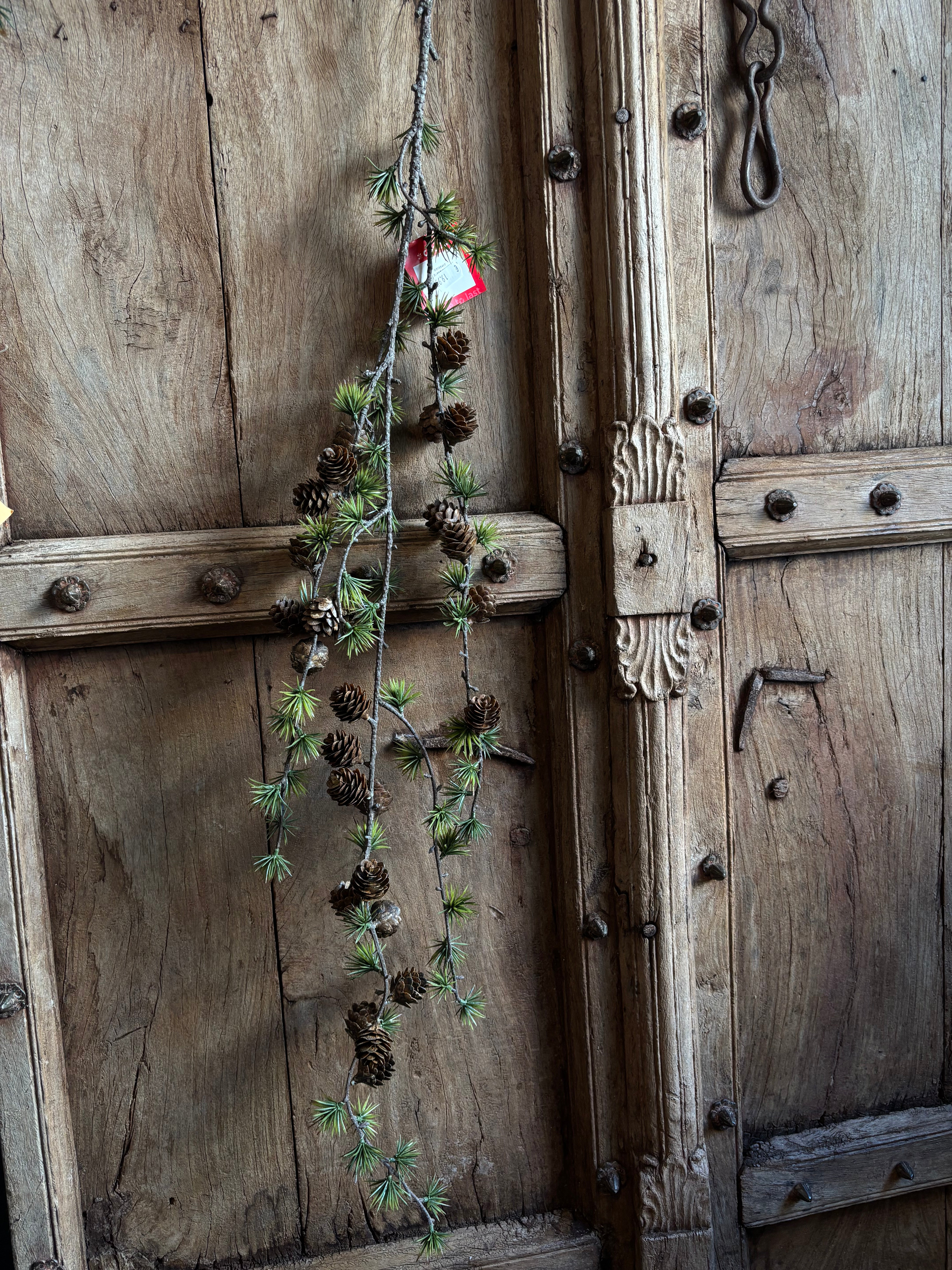 Cedertak met dennenappels hang