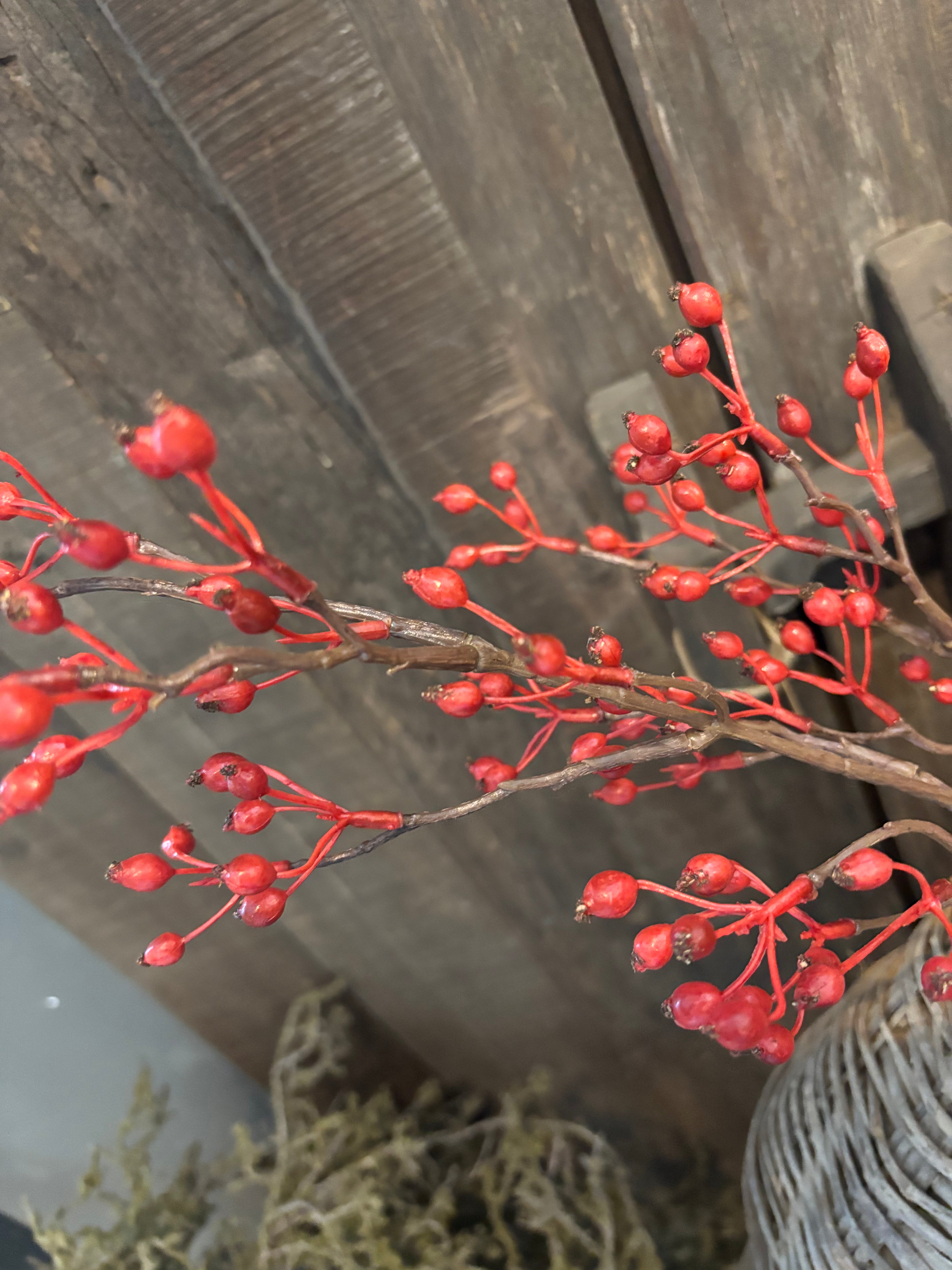 Rozenbottel rood 60cm