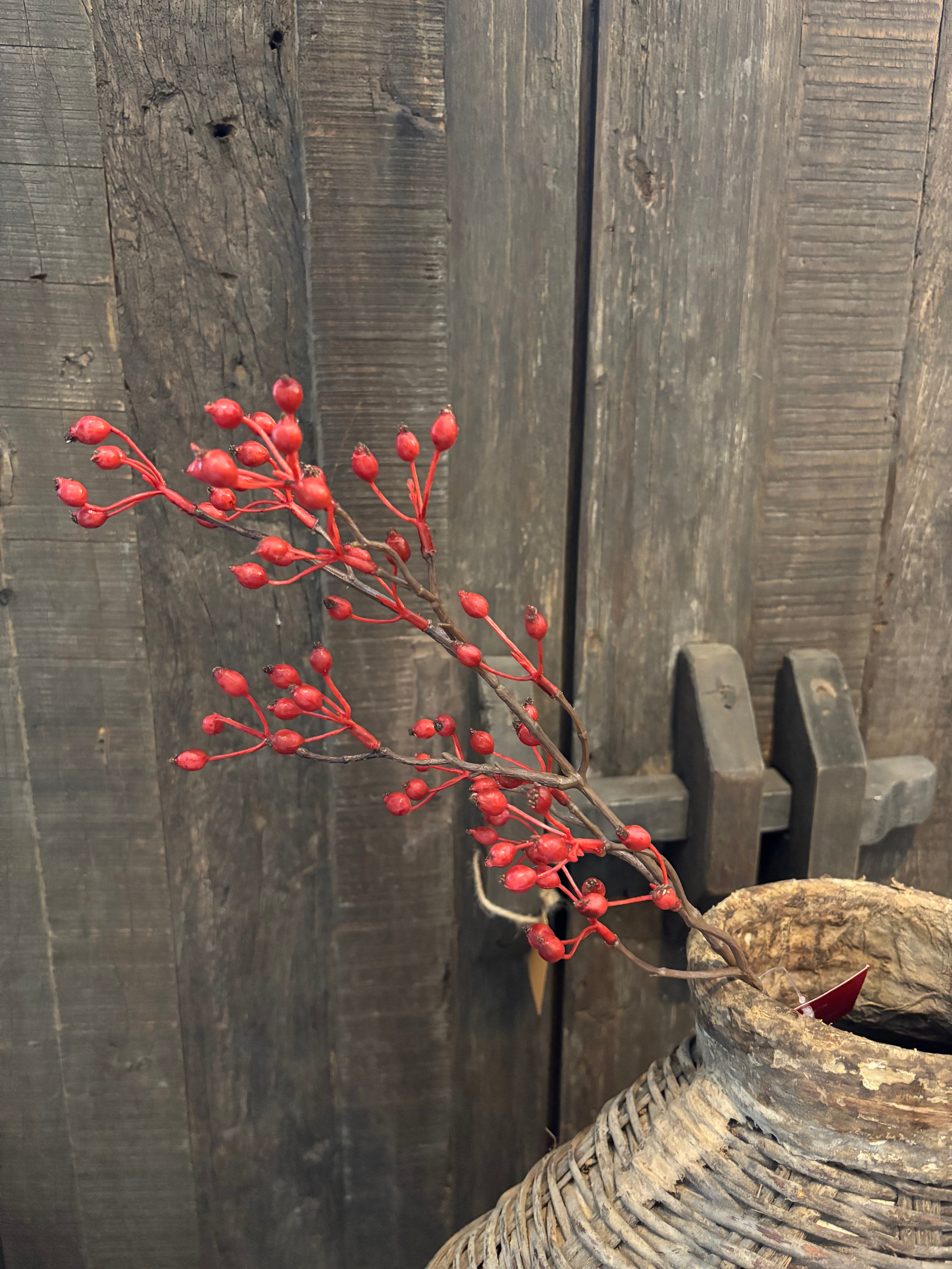 Rozenbottel rood 60cm