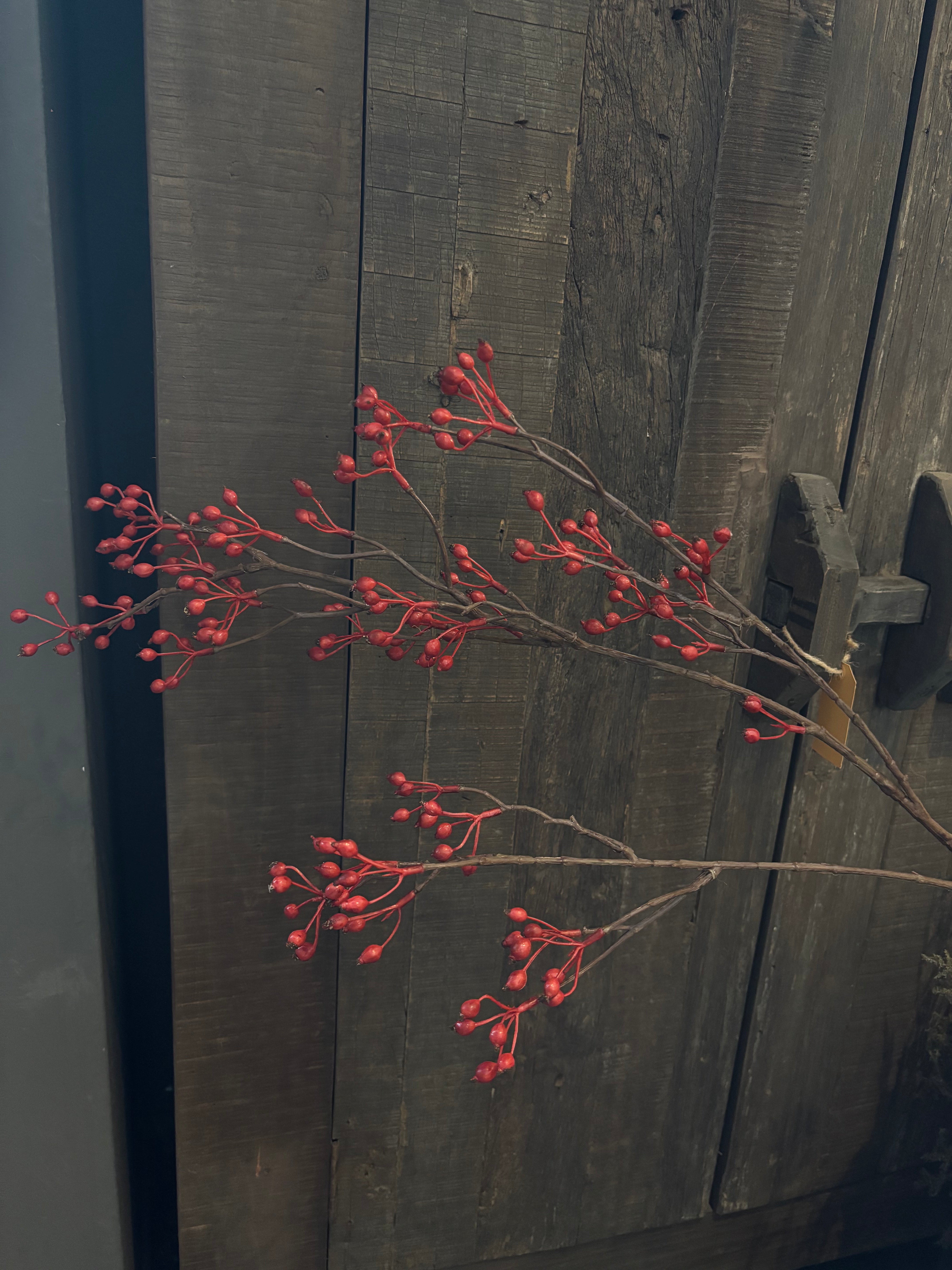 Rozenbottel rood 1m