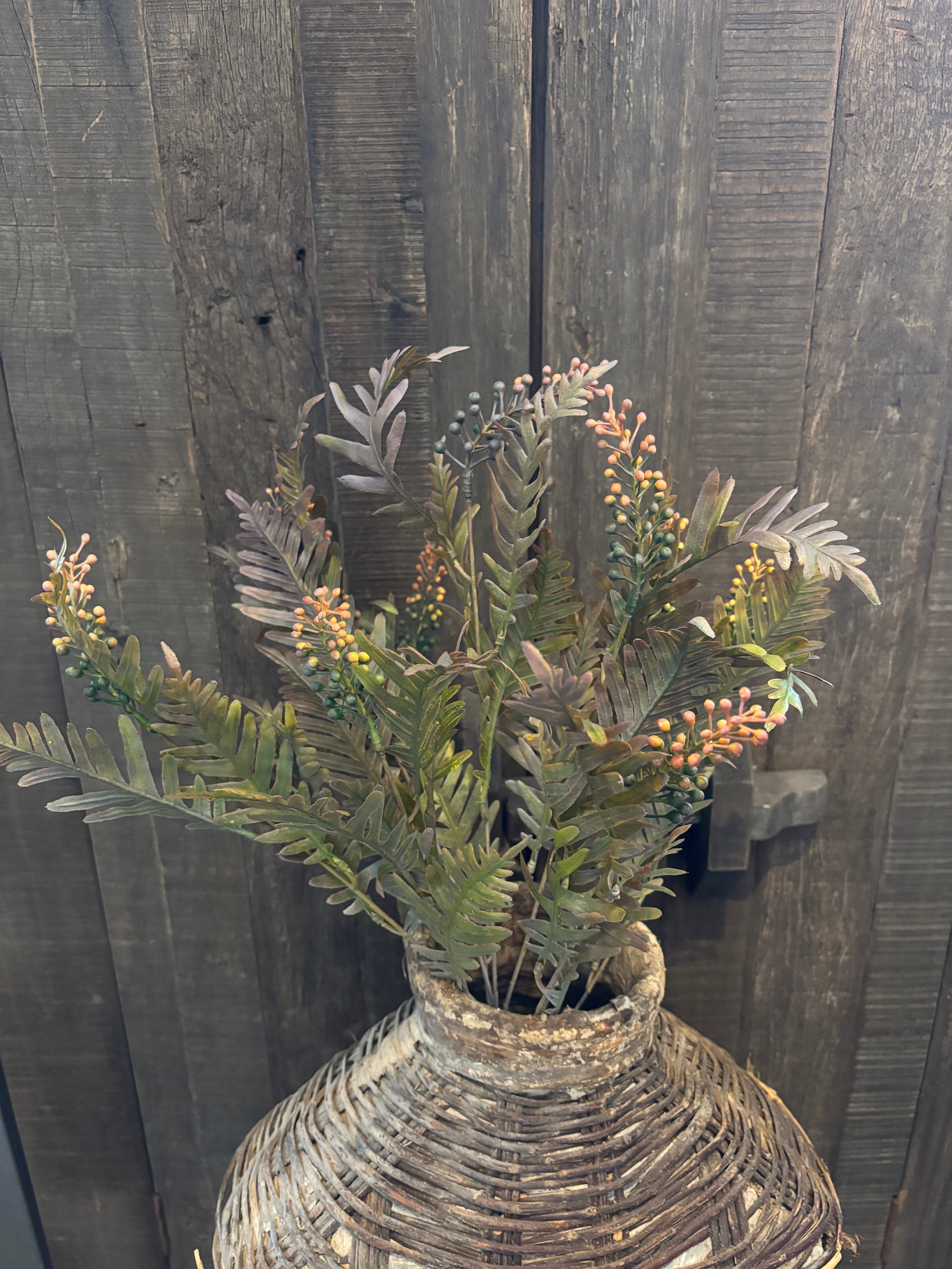 Myrica Bush Brynxz