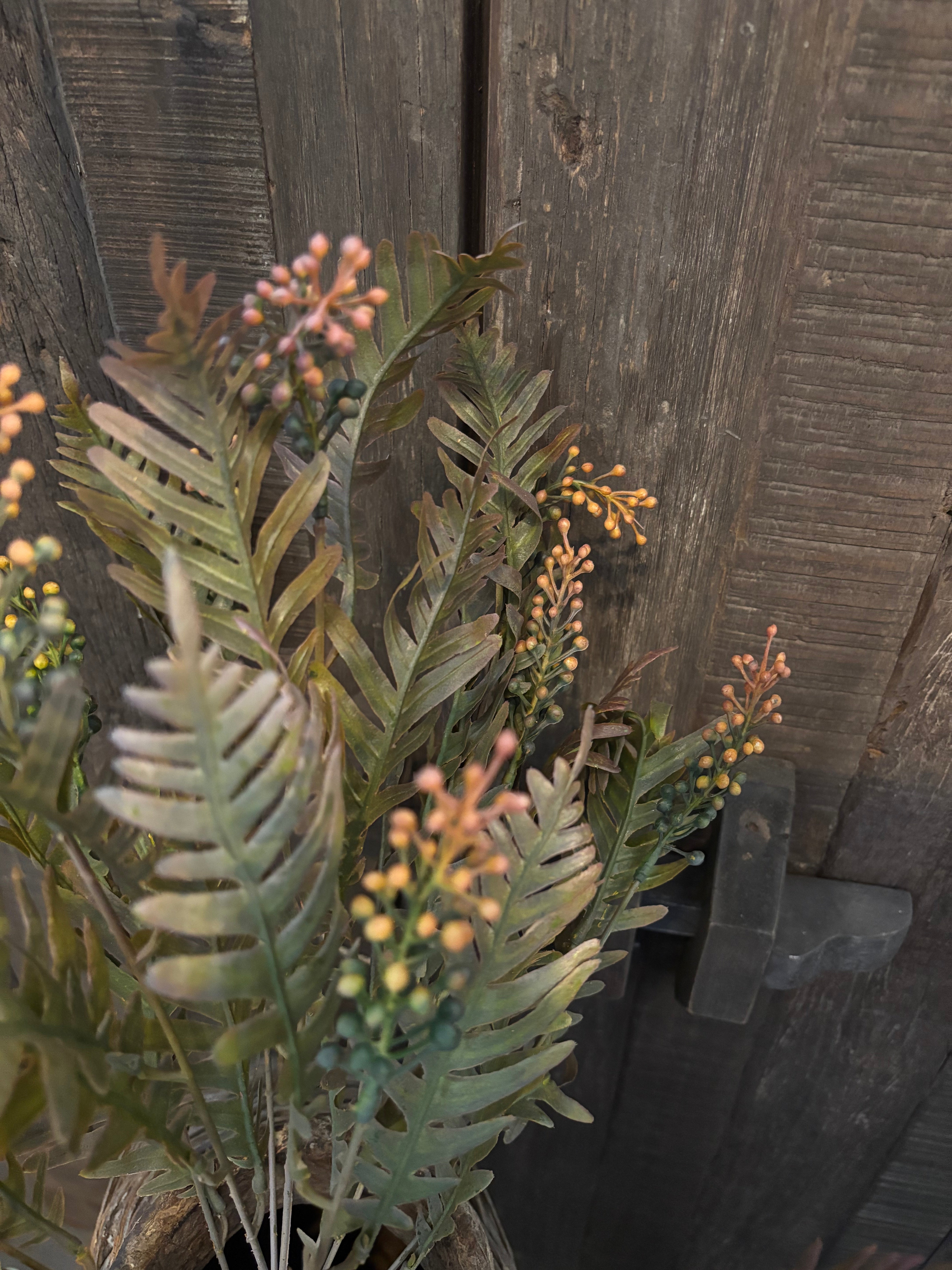 Myrica Bush Brynxz
