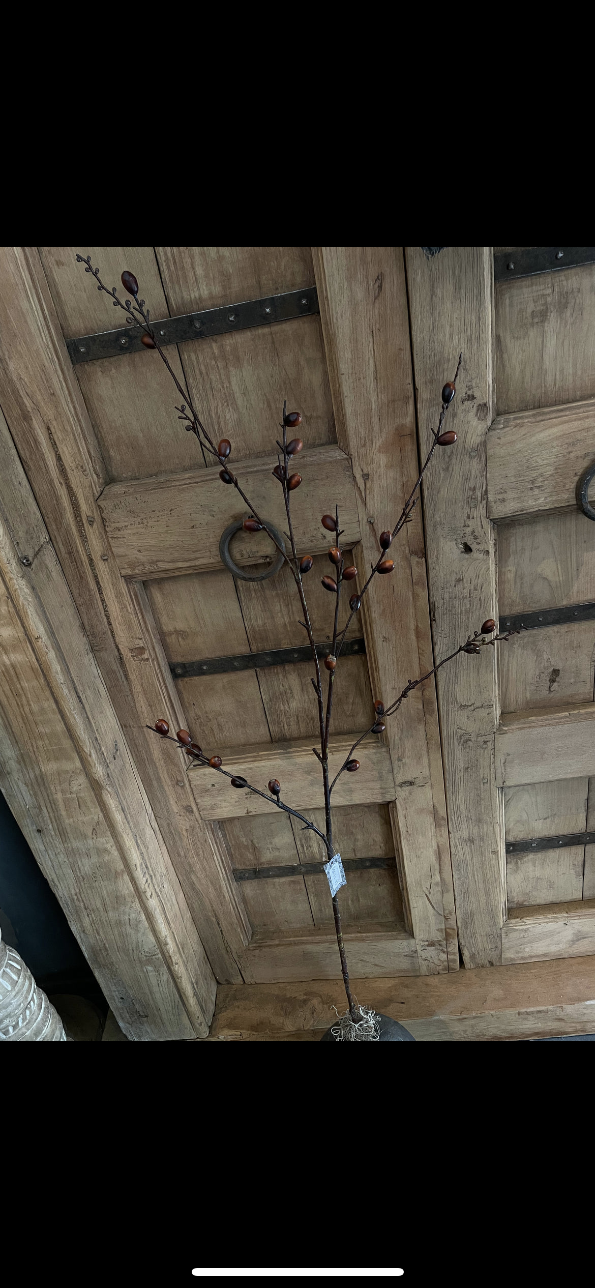 Tak bruine bes 80cm