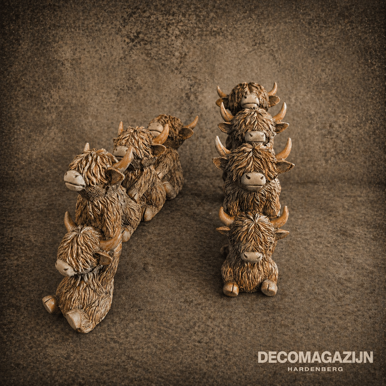 Schotse hooglanders
