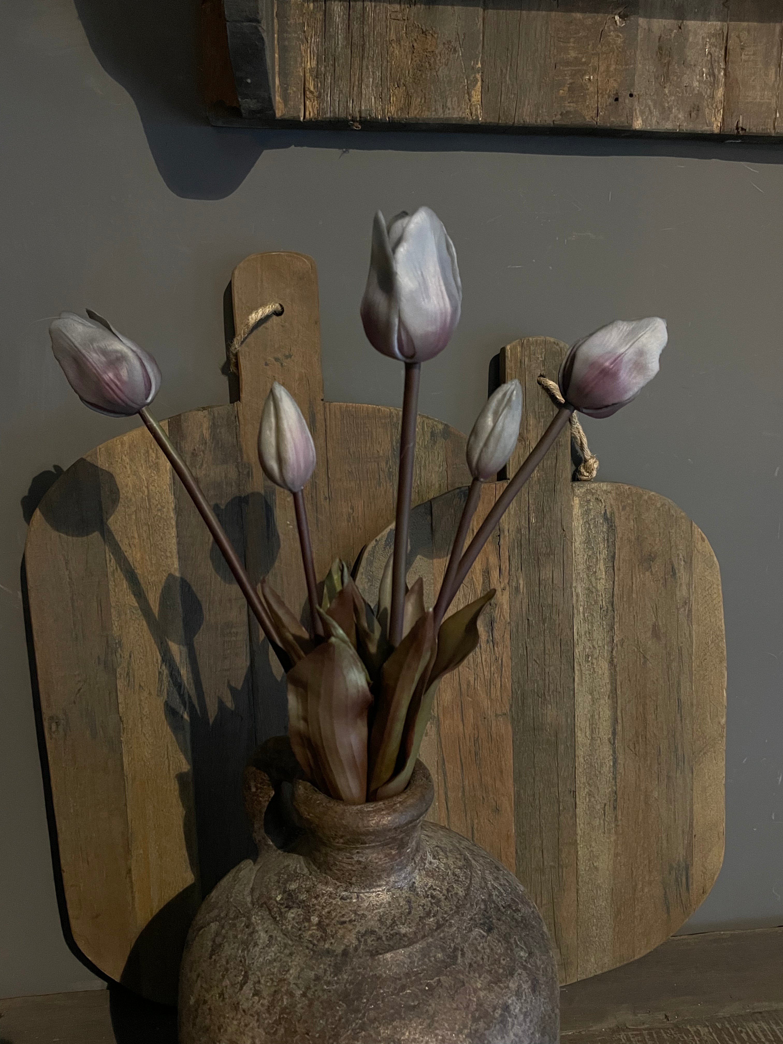 Tulpen grey lang