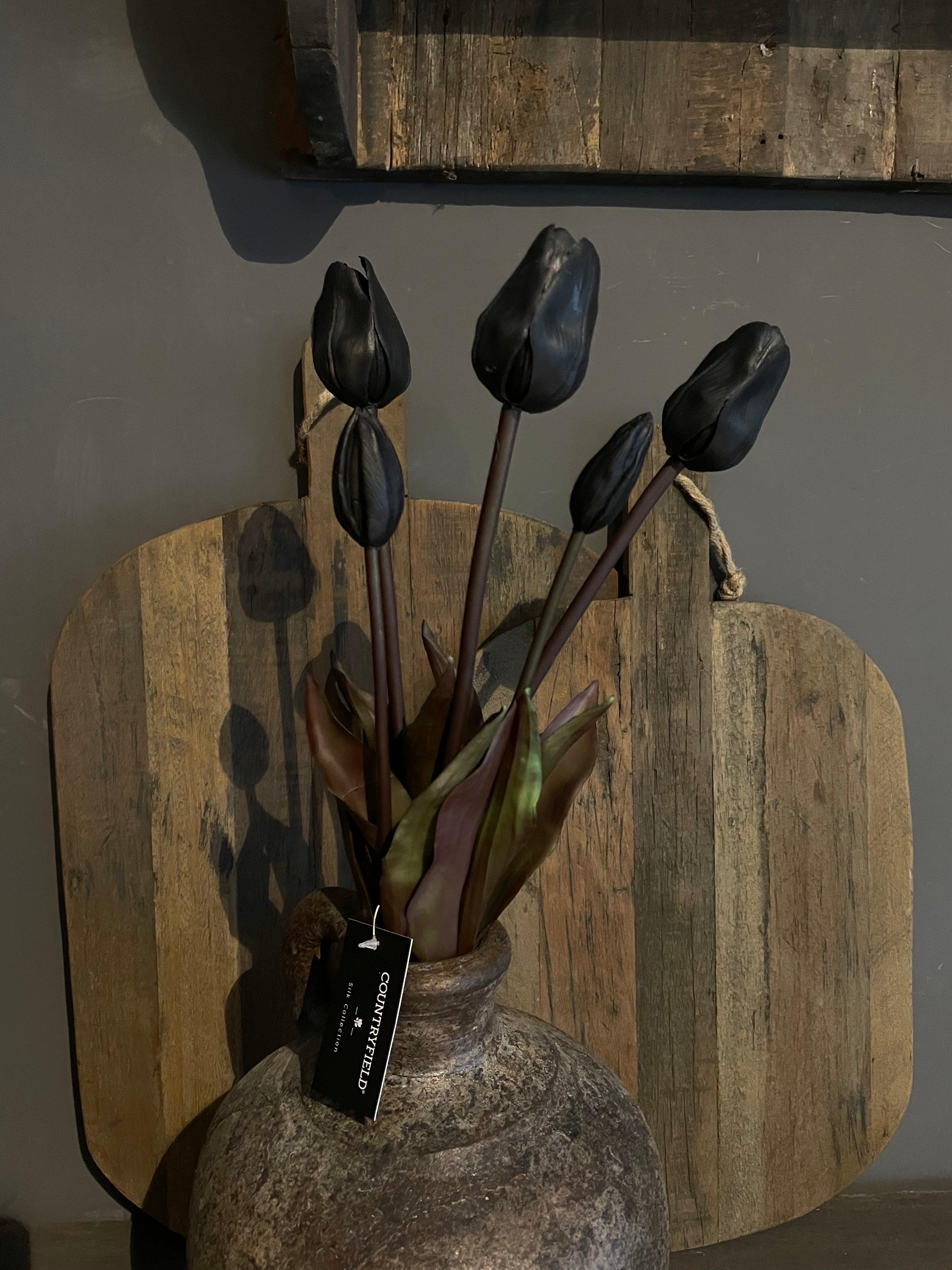Tulpen zwart lang