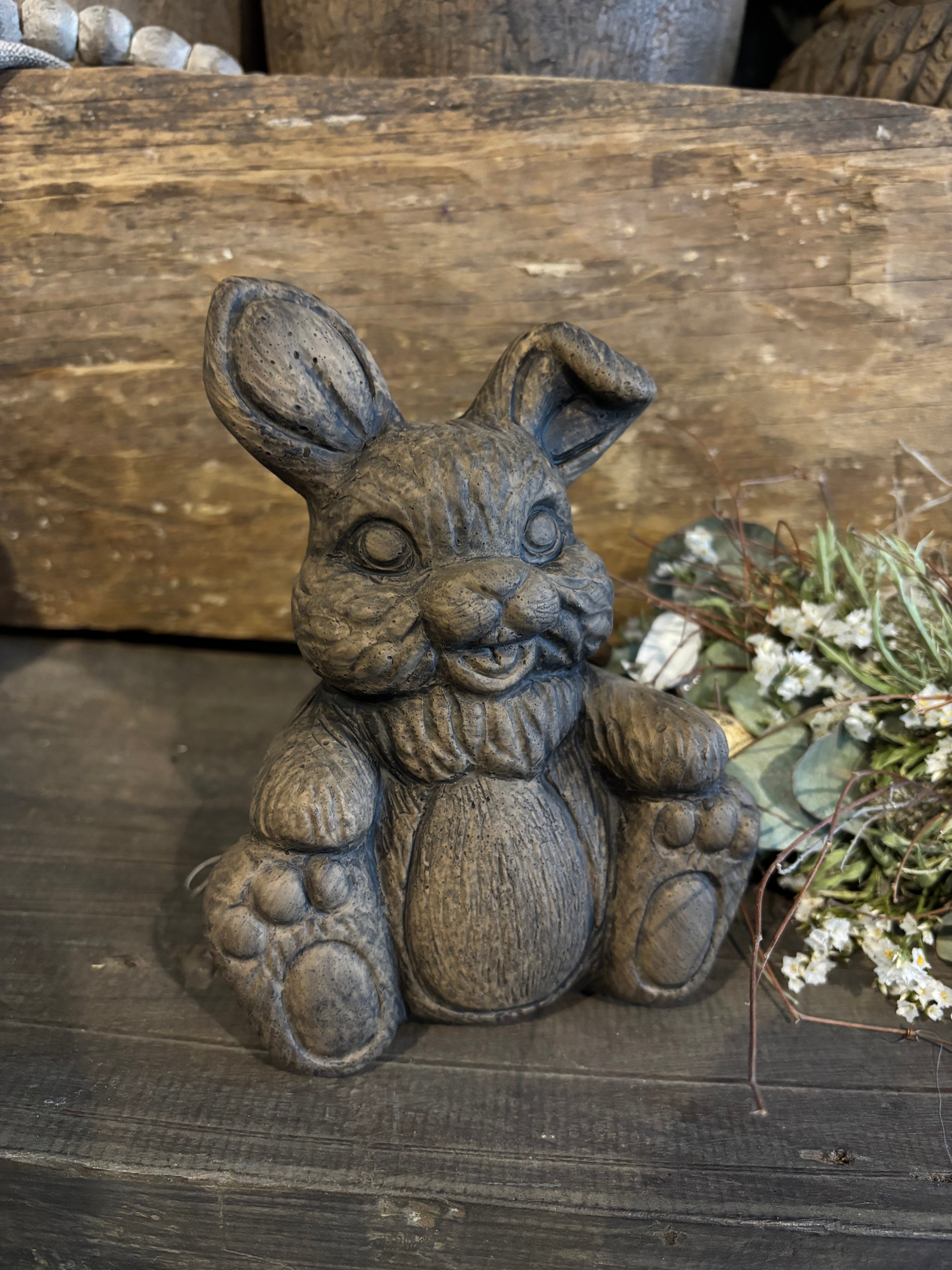 Haasje Brynxz majestic brown