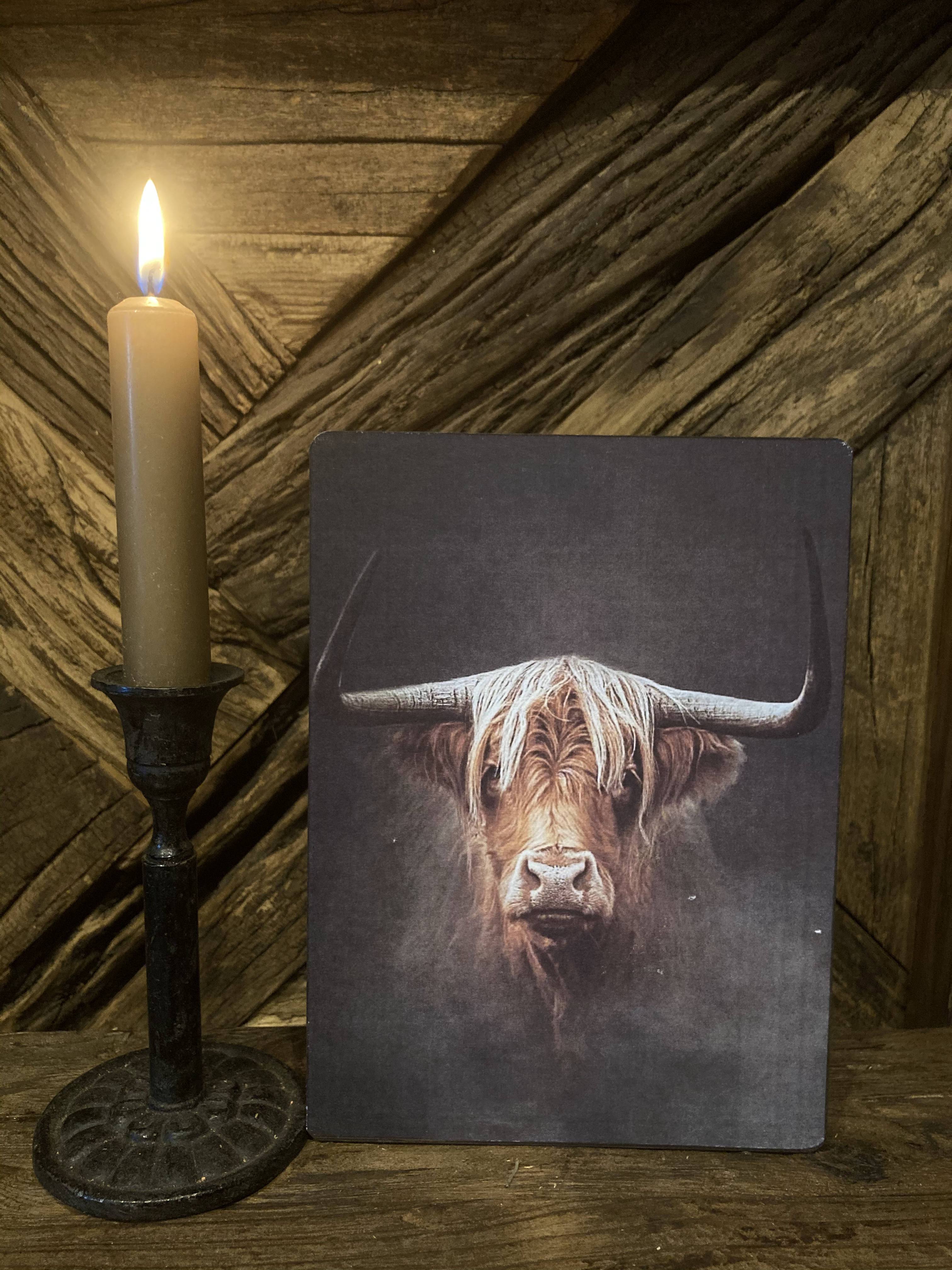 Decoratief bordje Hooglander 2