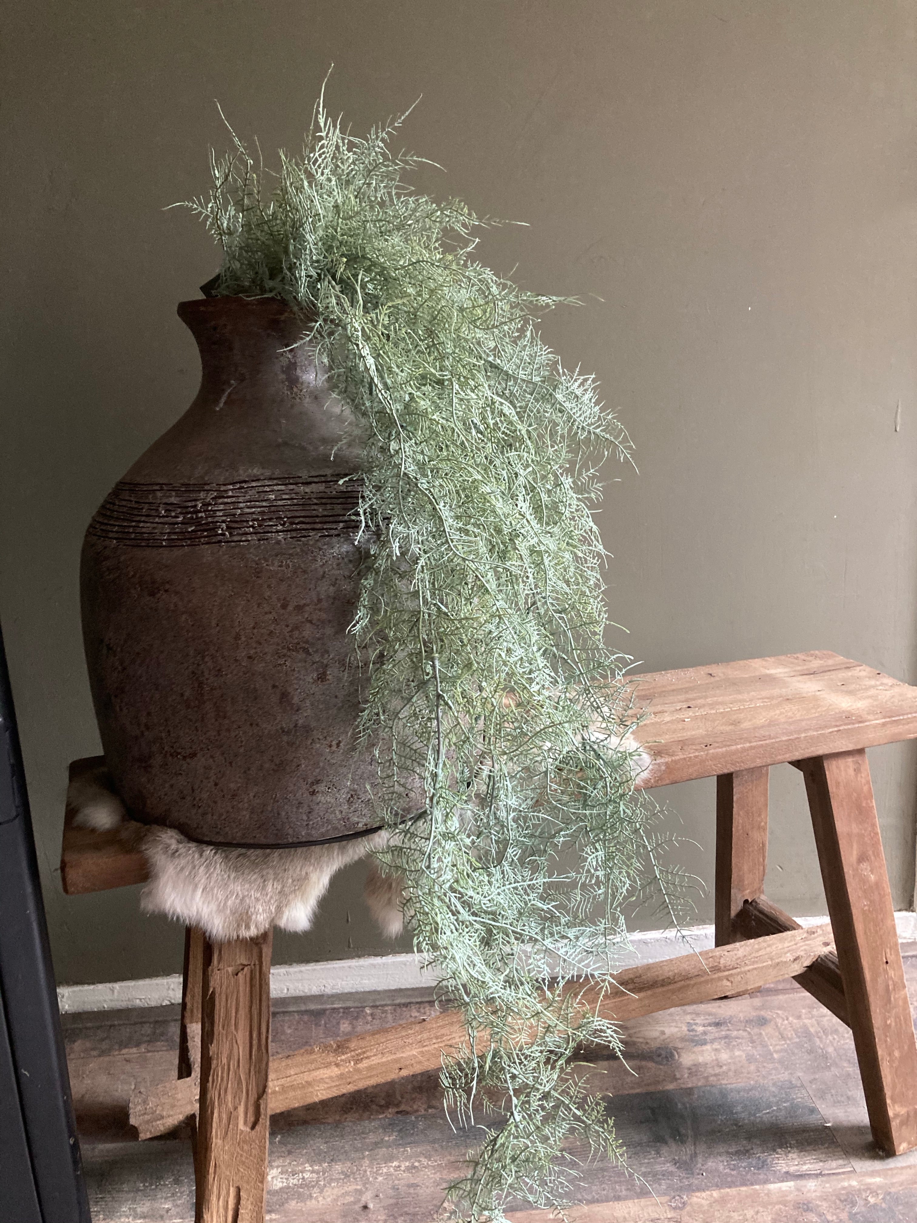 Kunst Asparagus
