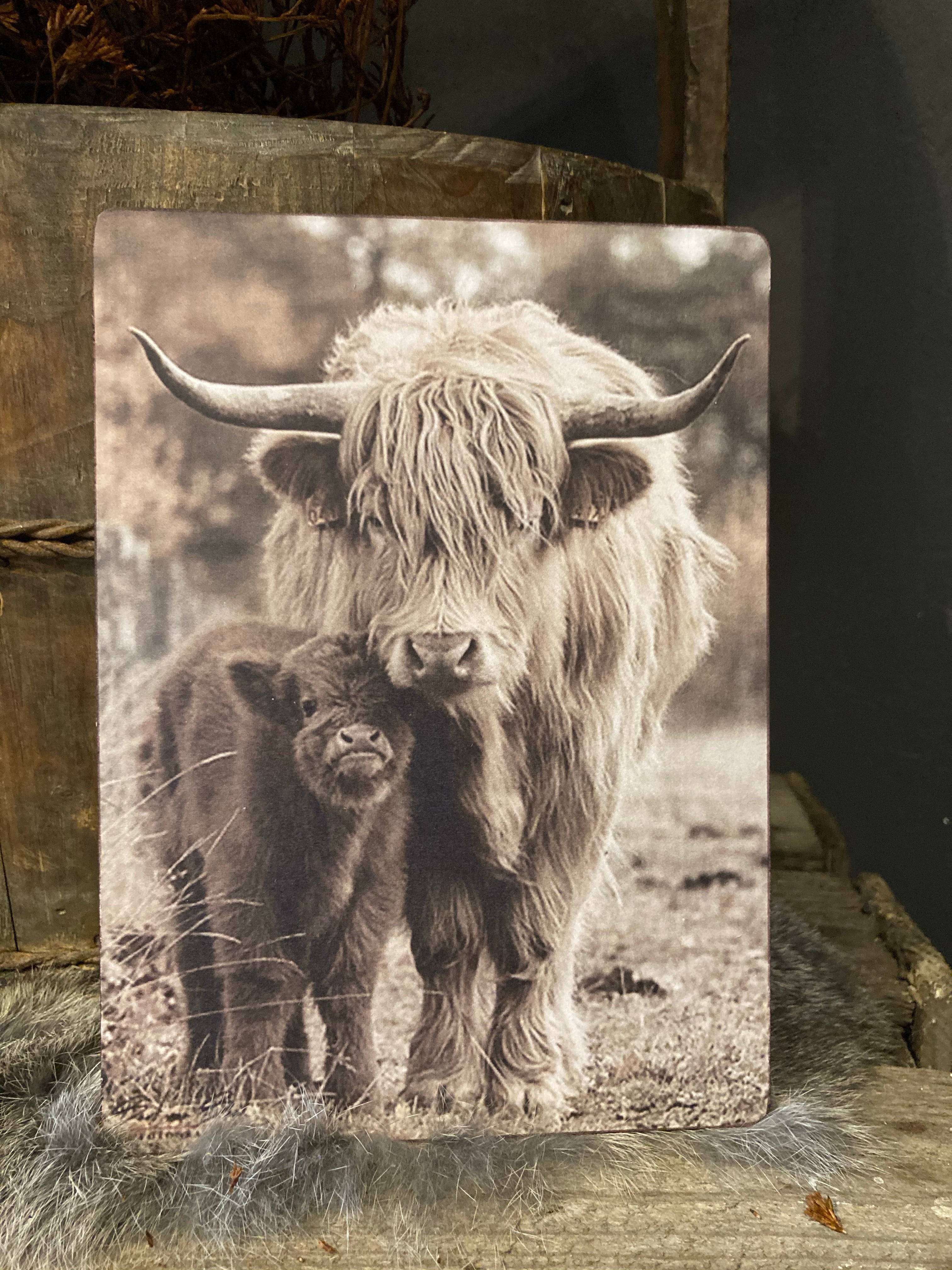 Decoratief bordje Hooglander met jong